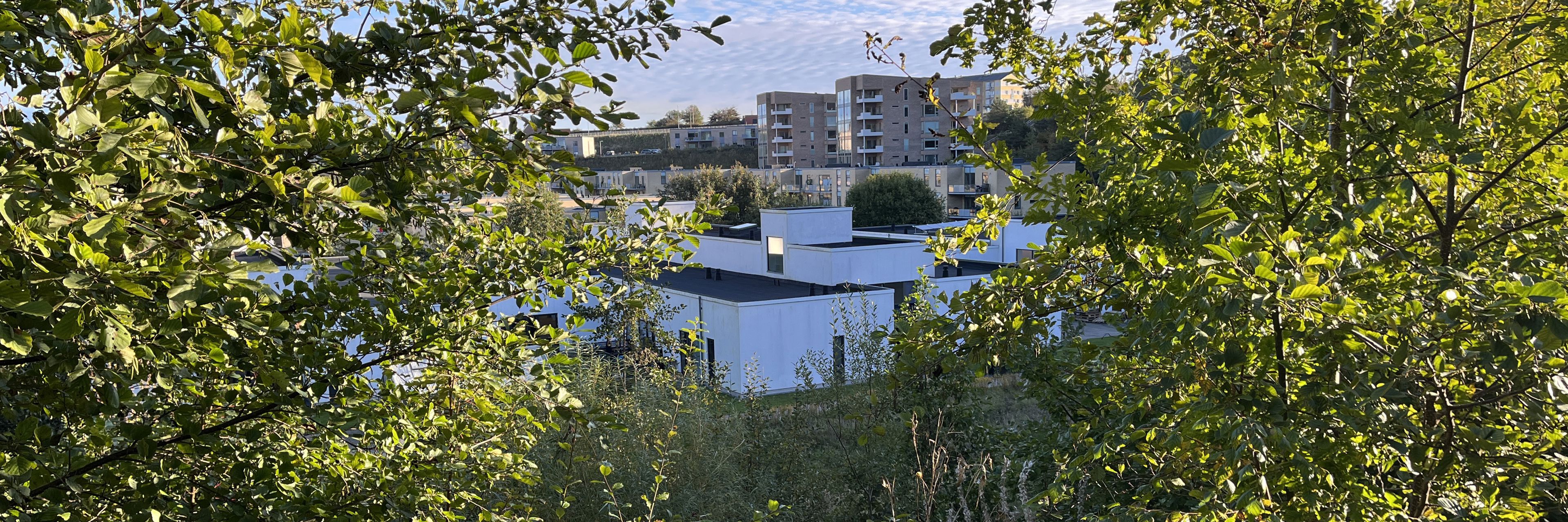 Botilbud Kridtsløjfen set fra en bakketop