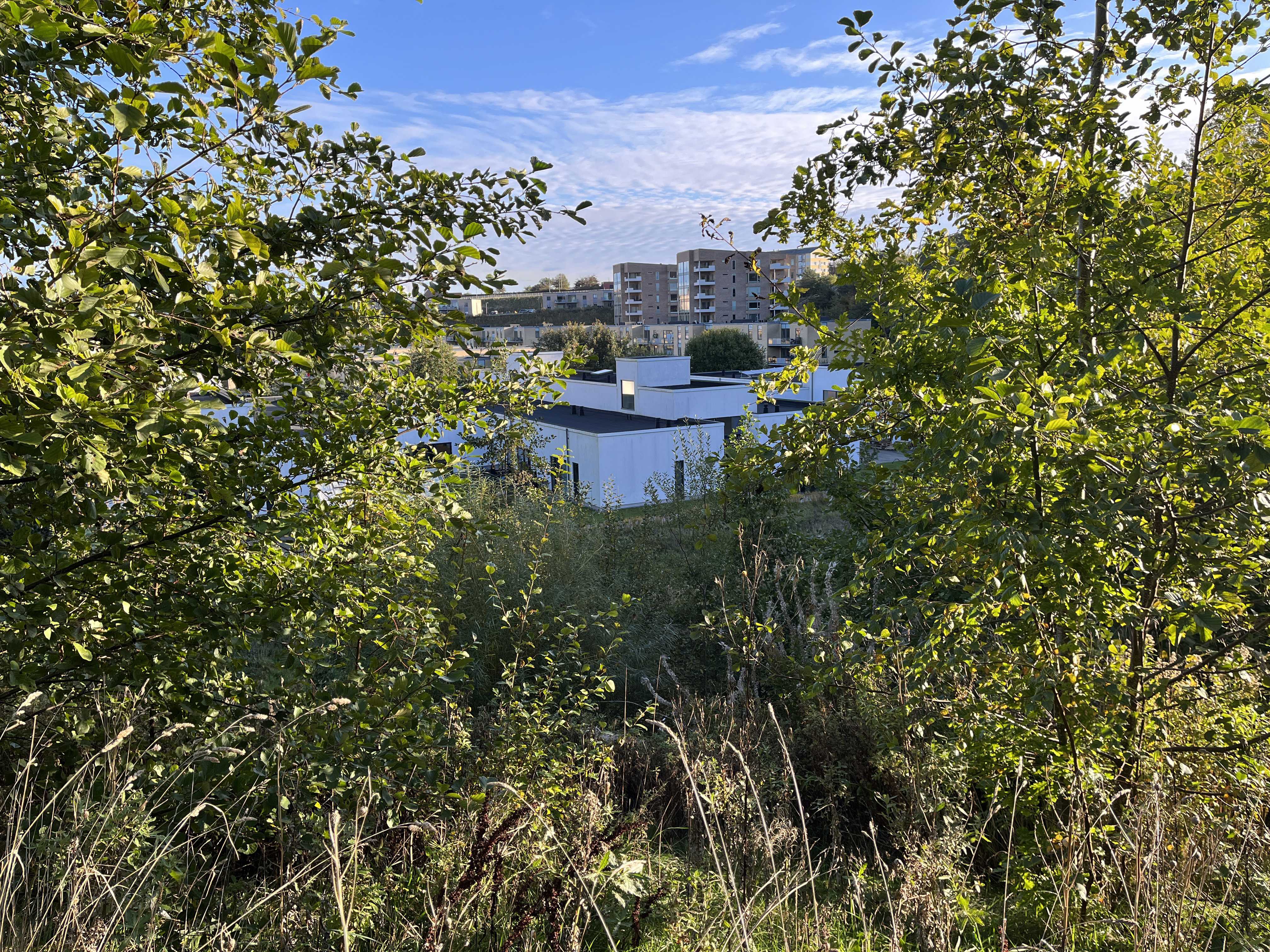 Botilbud Kridtsløjfen set fra en bakketop