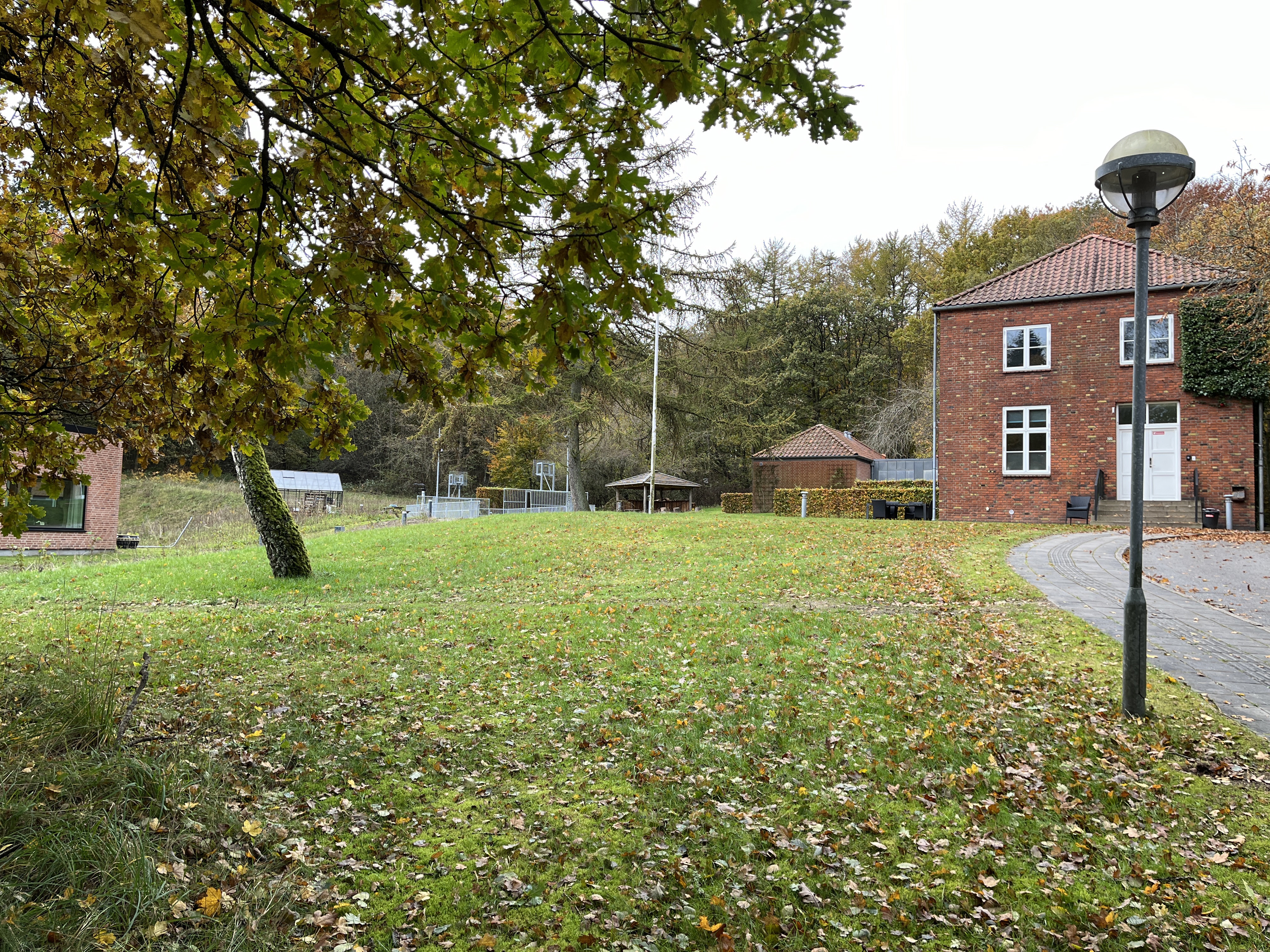 Brinken i Hammer Bakker