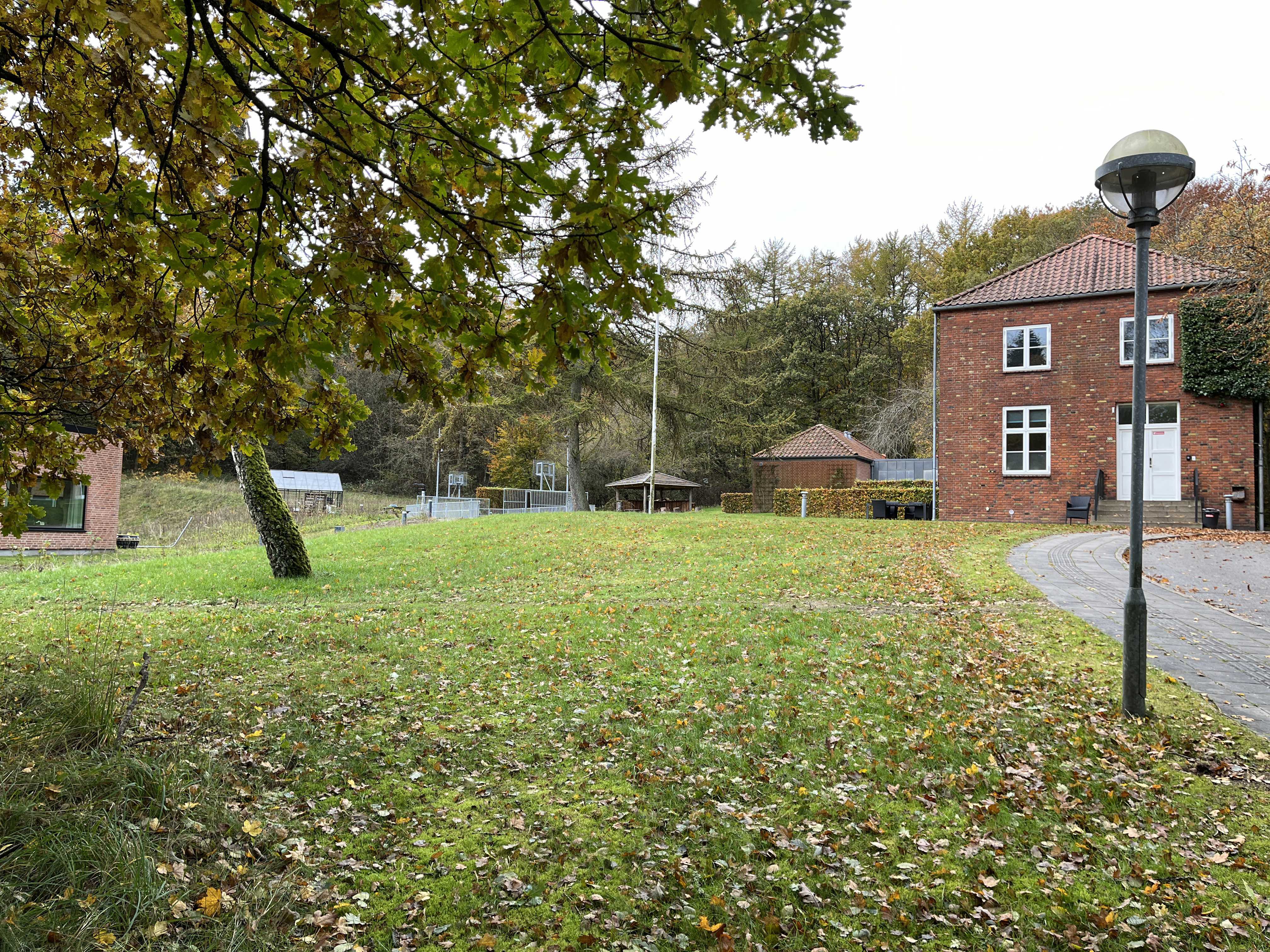 Brinken i Hammer Bakker