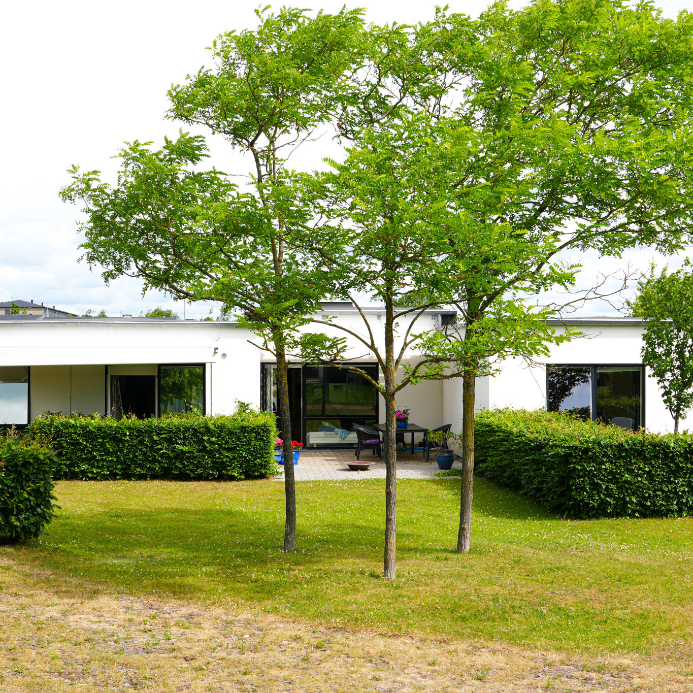 Astrupparken udefra med grønne træer og buske