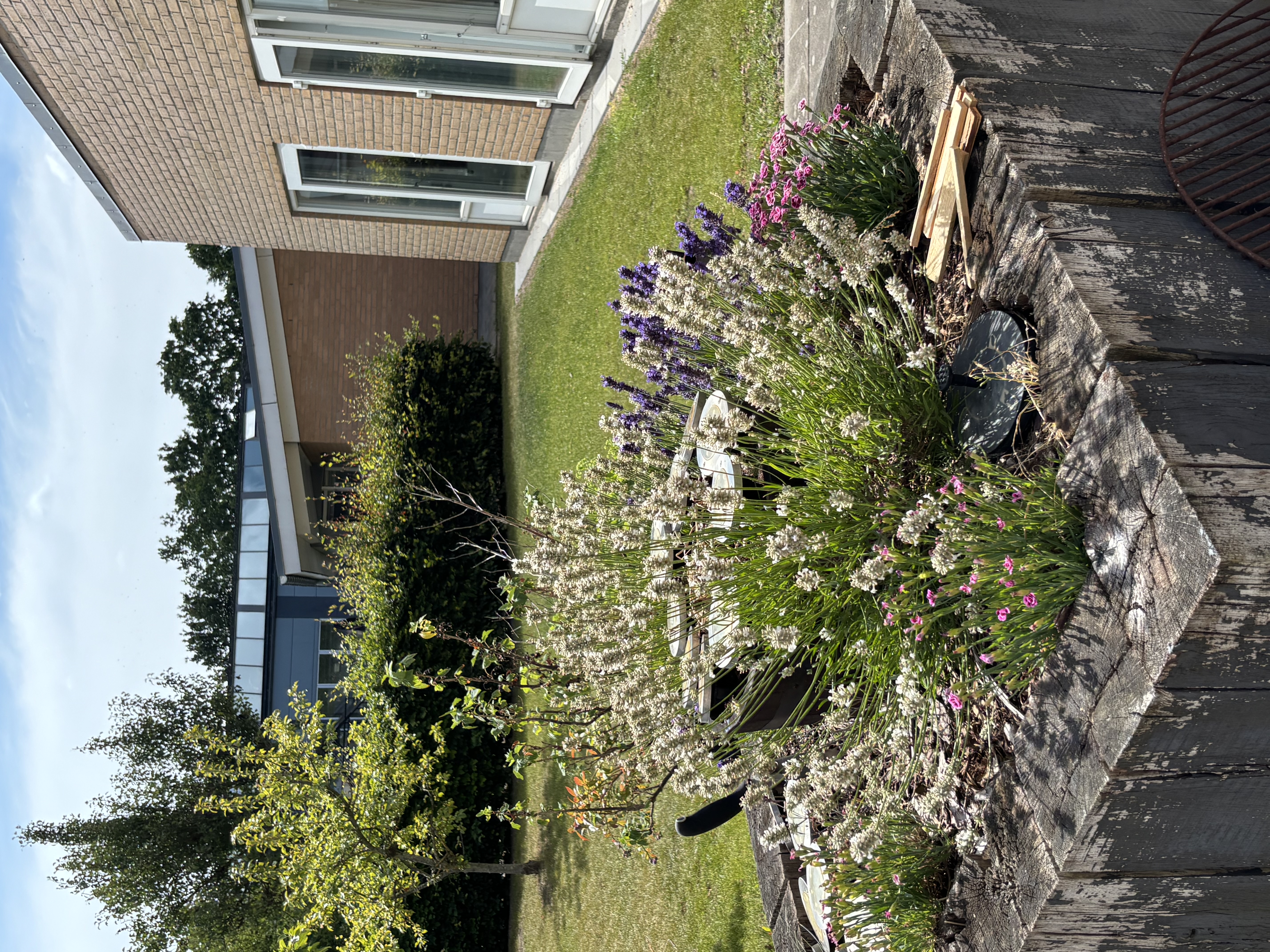 Have på Valmuehaven