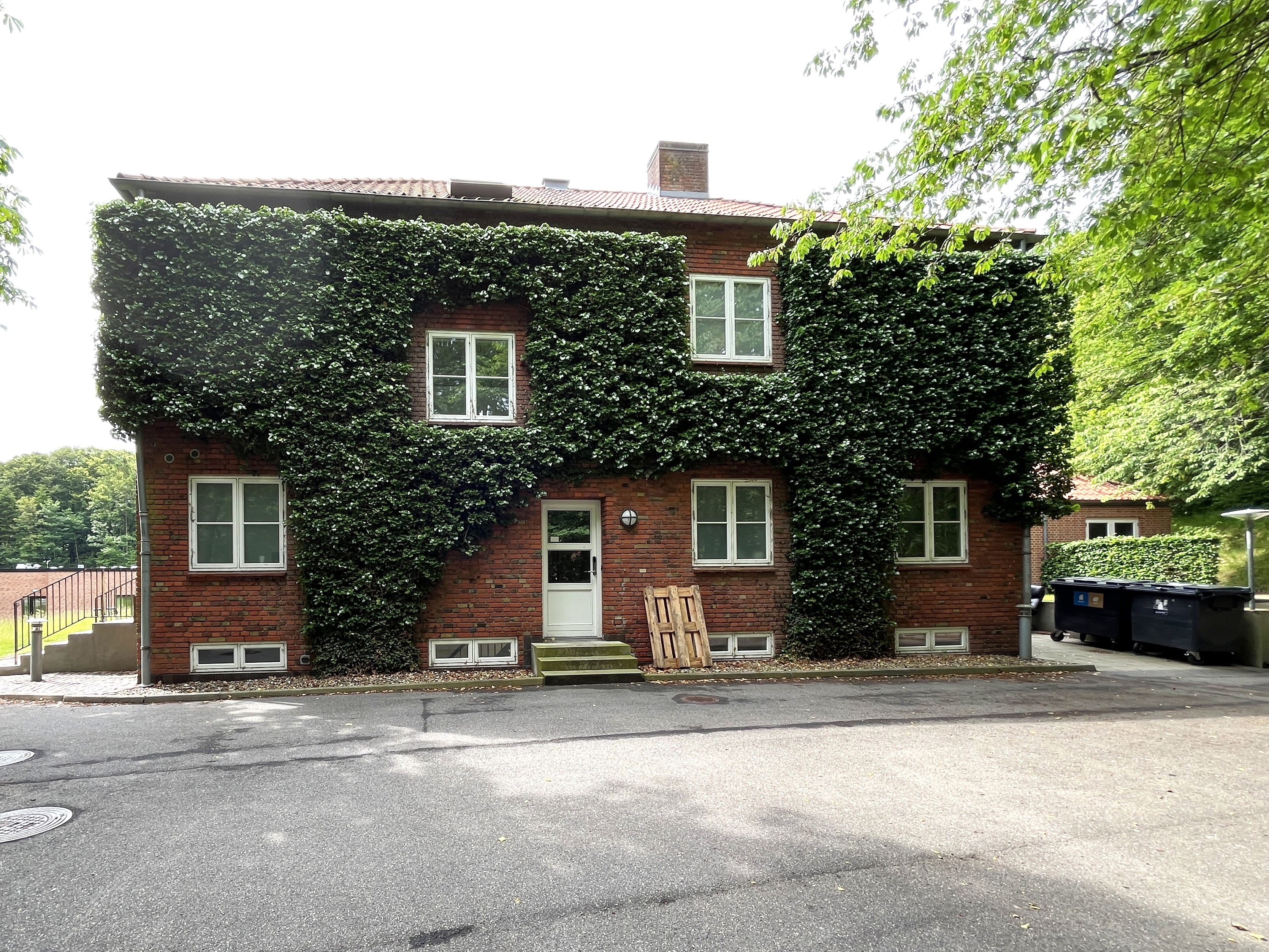 Brinken i Skygge Med Vedbend På Muren