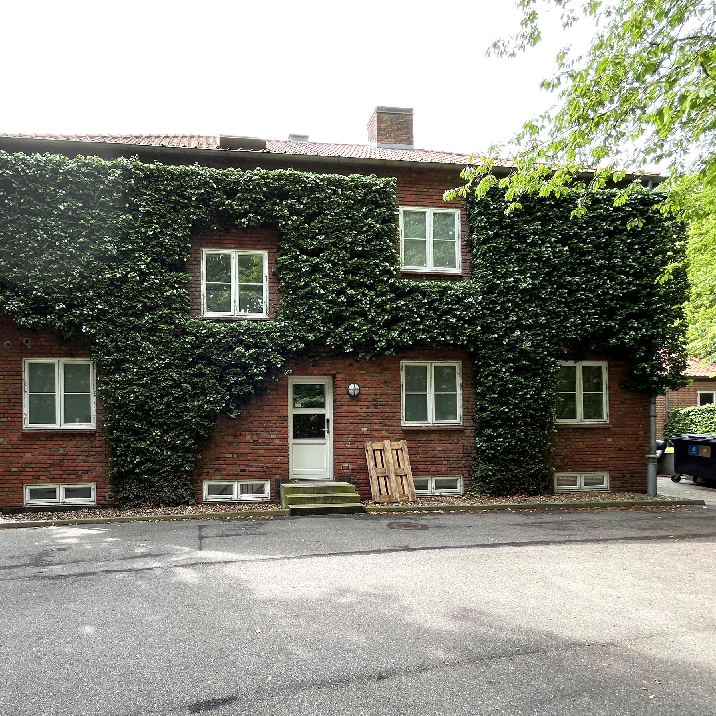 Brinken i Skygge Med Vedbend På Muren