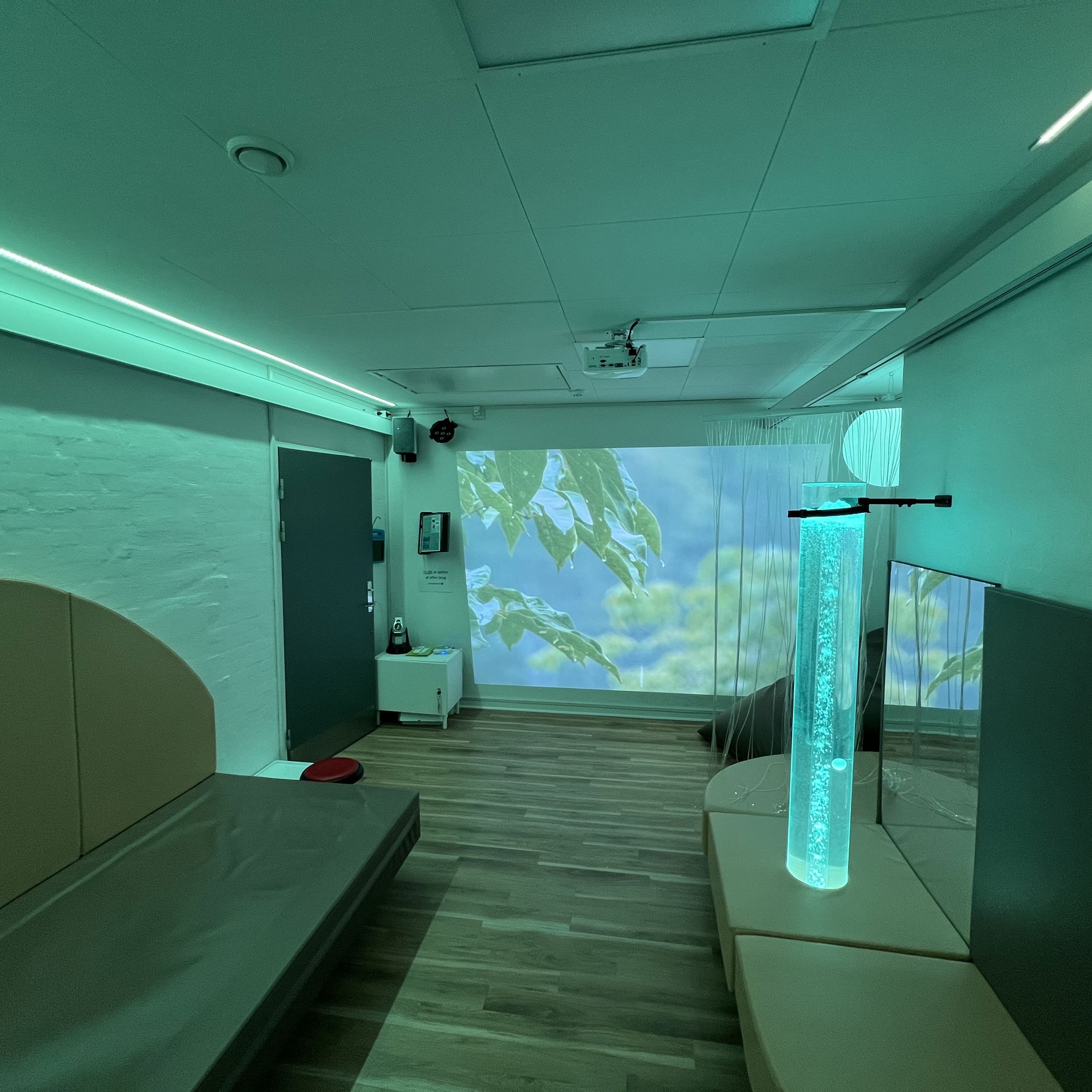 Danahus - sanserum i grønt