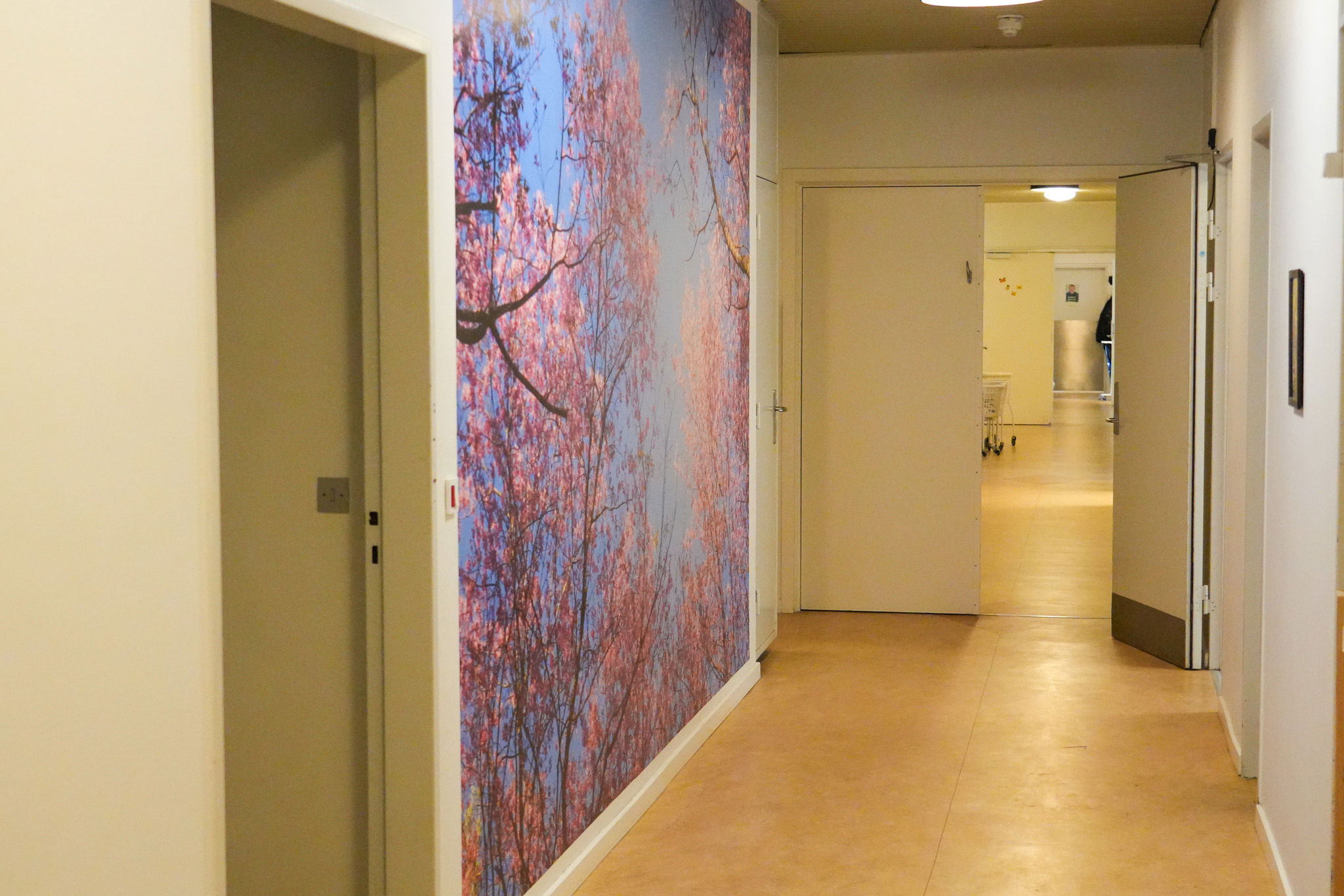 Gang På Viften Med Farverigt Tapet
