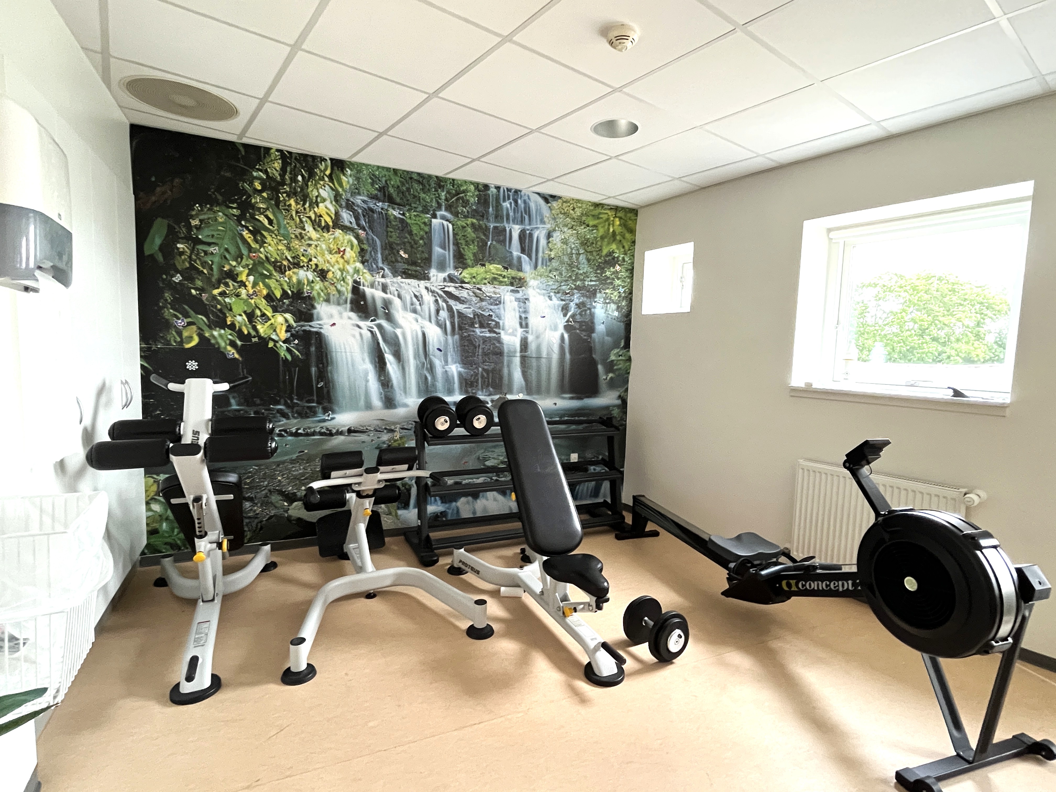 Fitnessrum Med Maskiner Op Af Vægtapet Med Vandfald