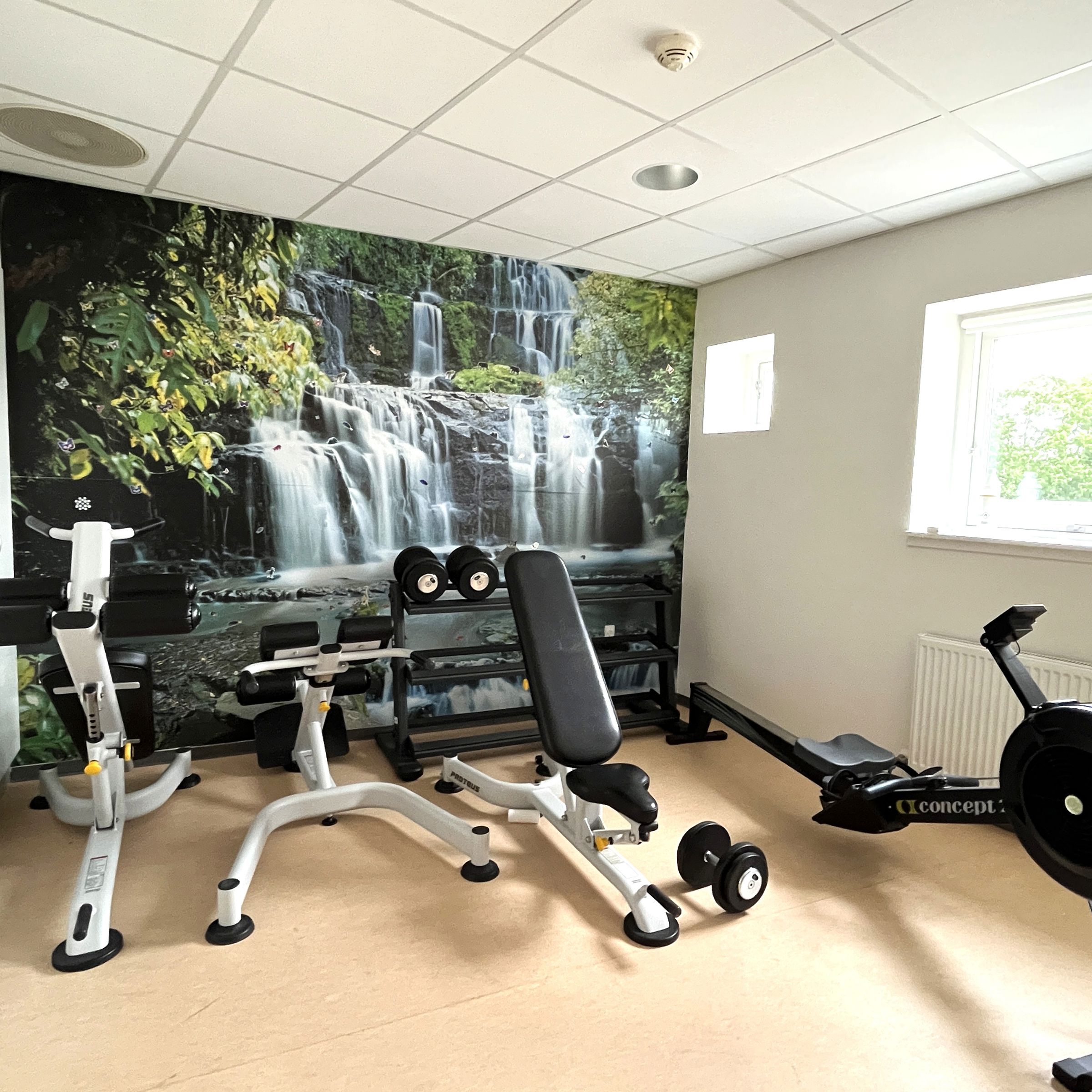 Fitnessrum Med Maskiner Op Af Vægtapet Med Vandfald