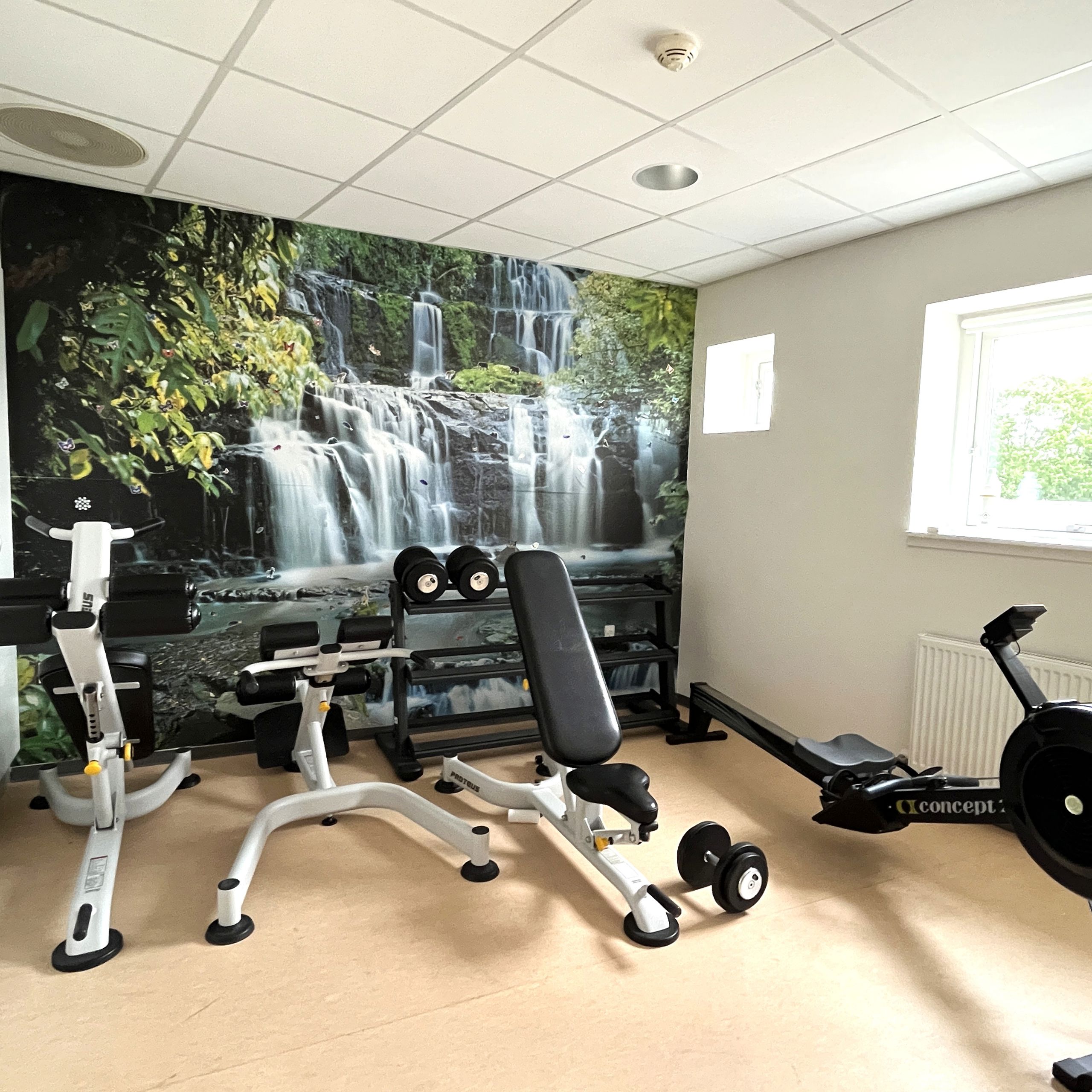 Fitnessrum Med Maskiner Op Af Vægtapet Med Vandfald