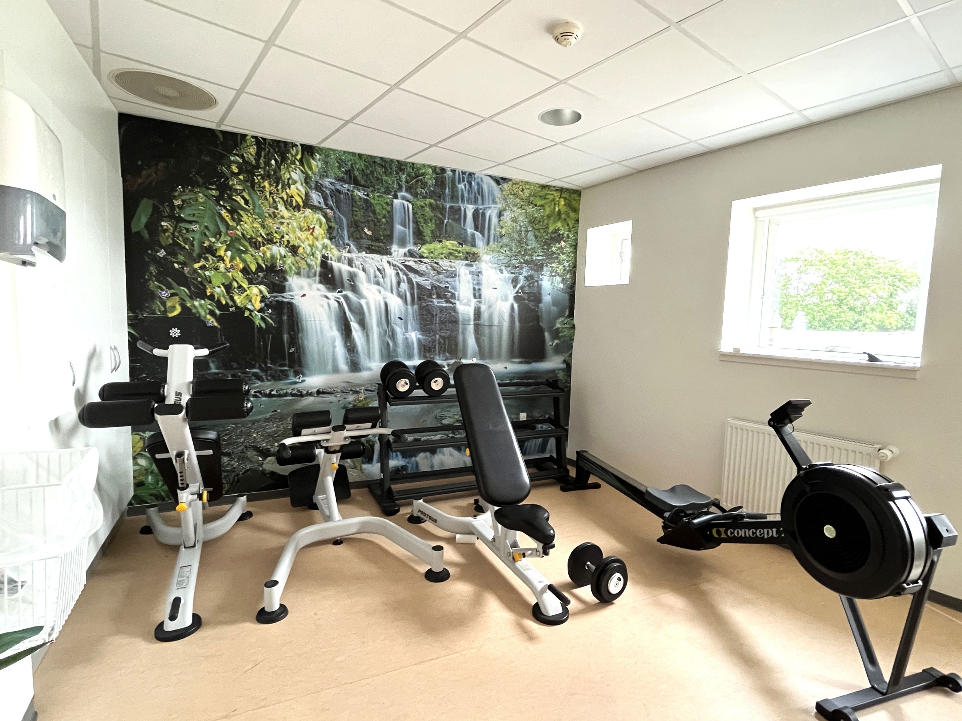 Fitnessrum Med Maskiner Op Af Vægtapet Med Vandfald
