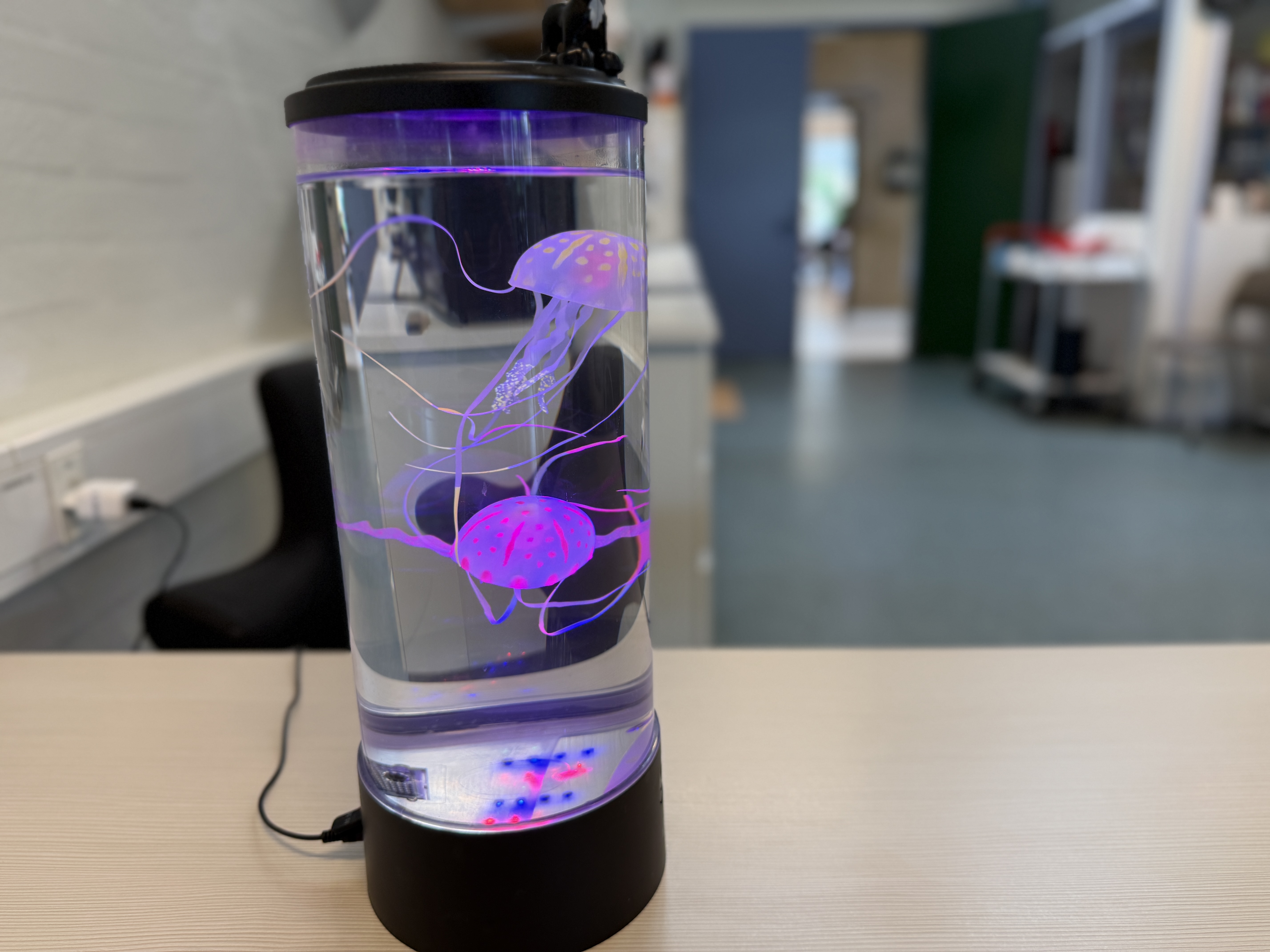Flydende blæksprutter i tændt lampe