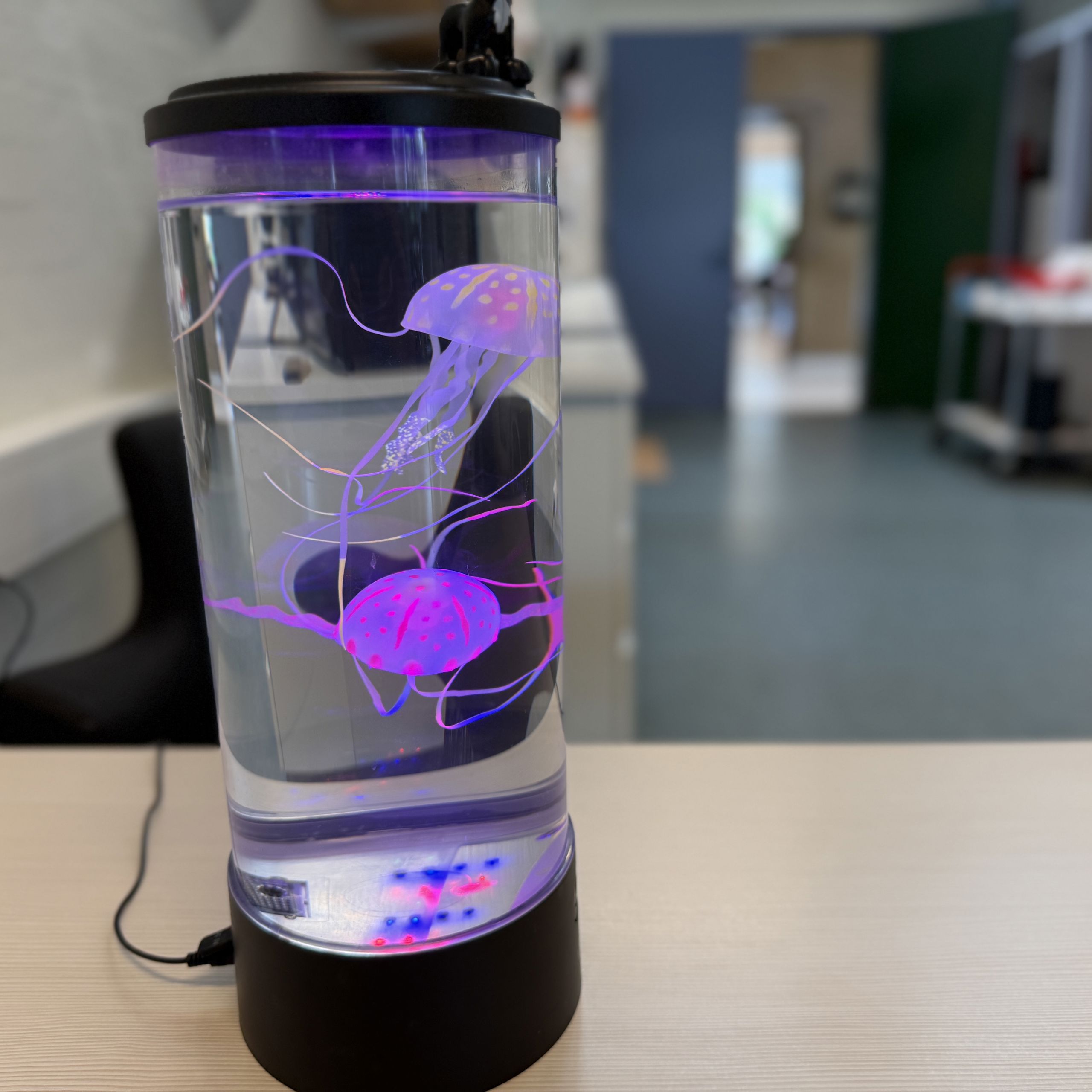 Flydende blæksprutter i tændt lampe