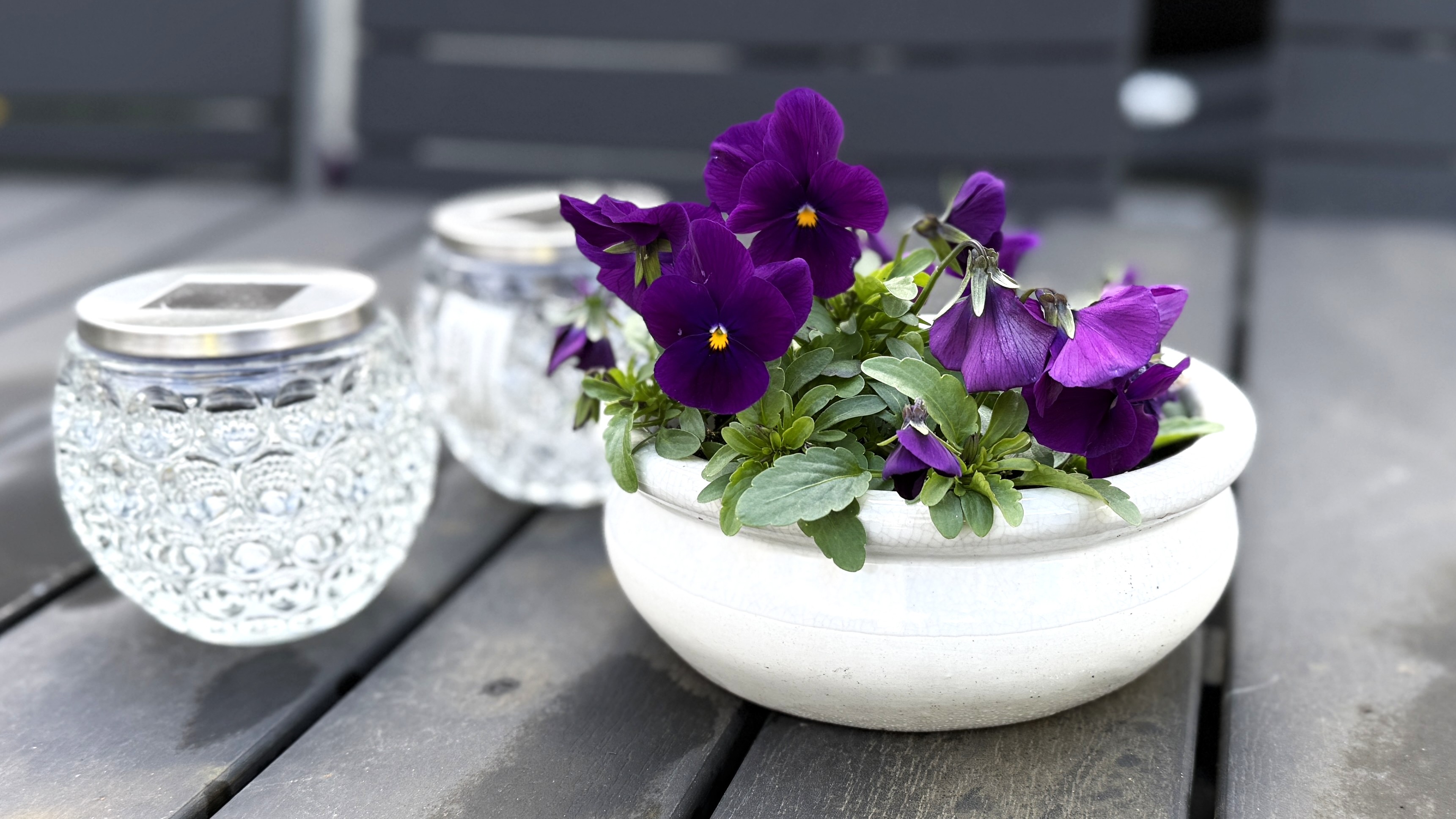 Blomster På Bord