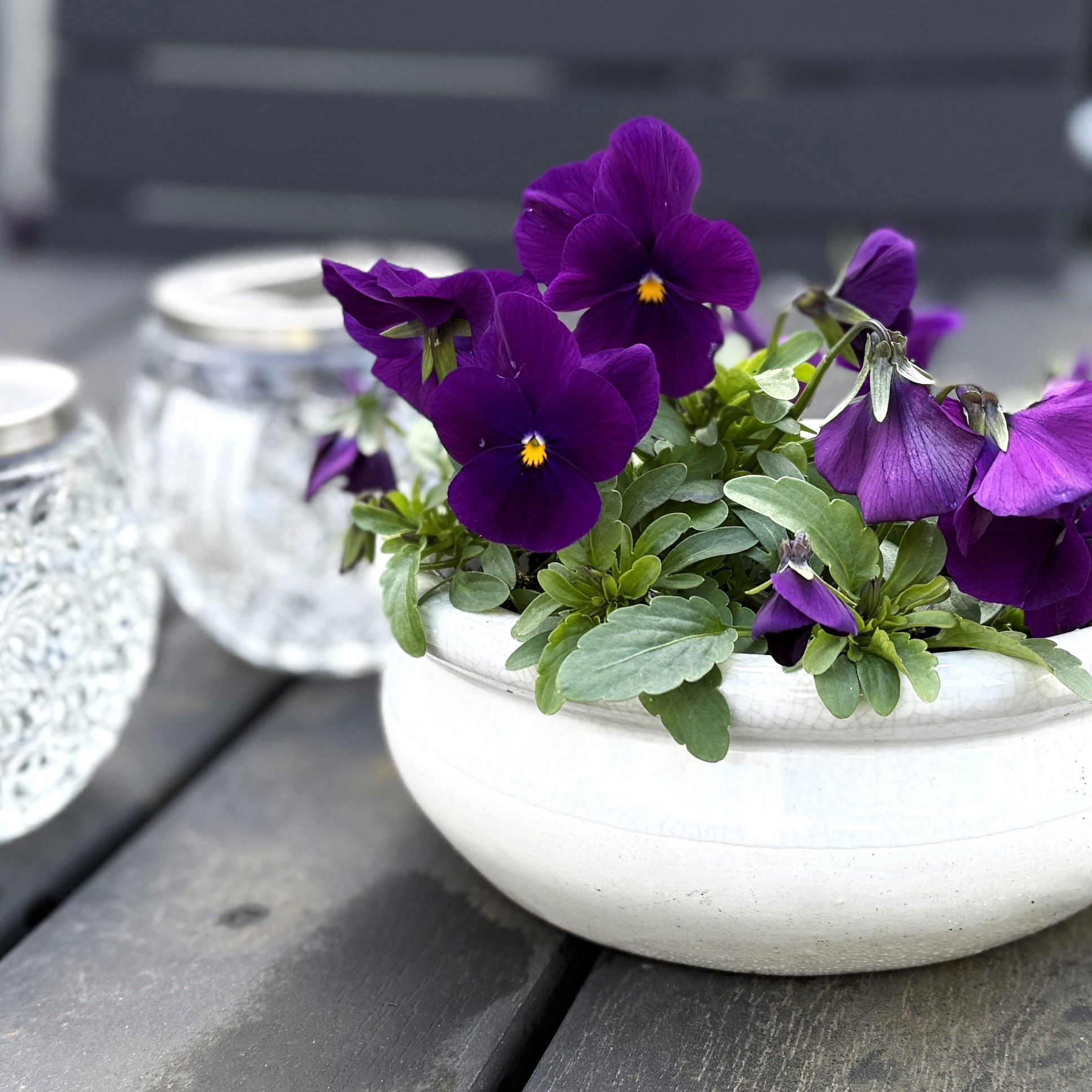 Blomster På Bord
