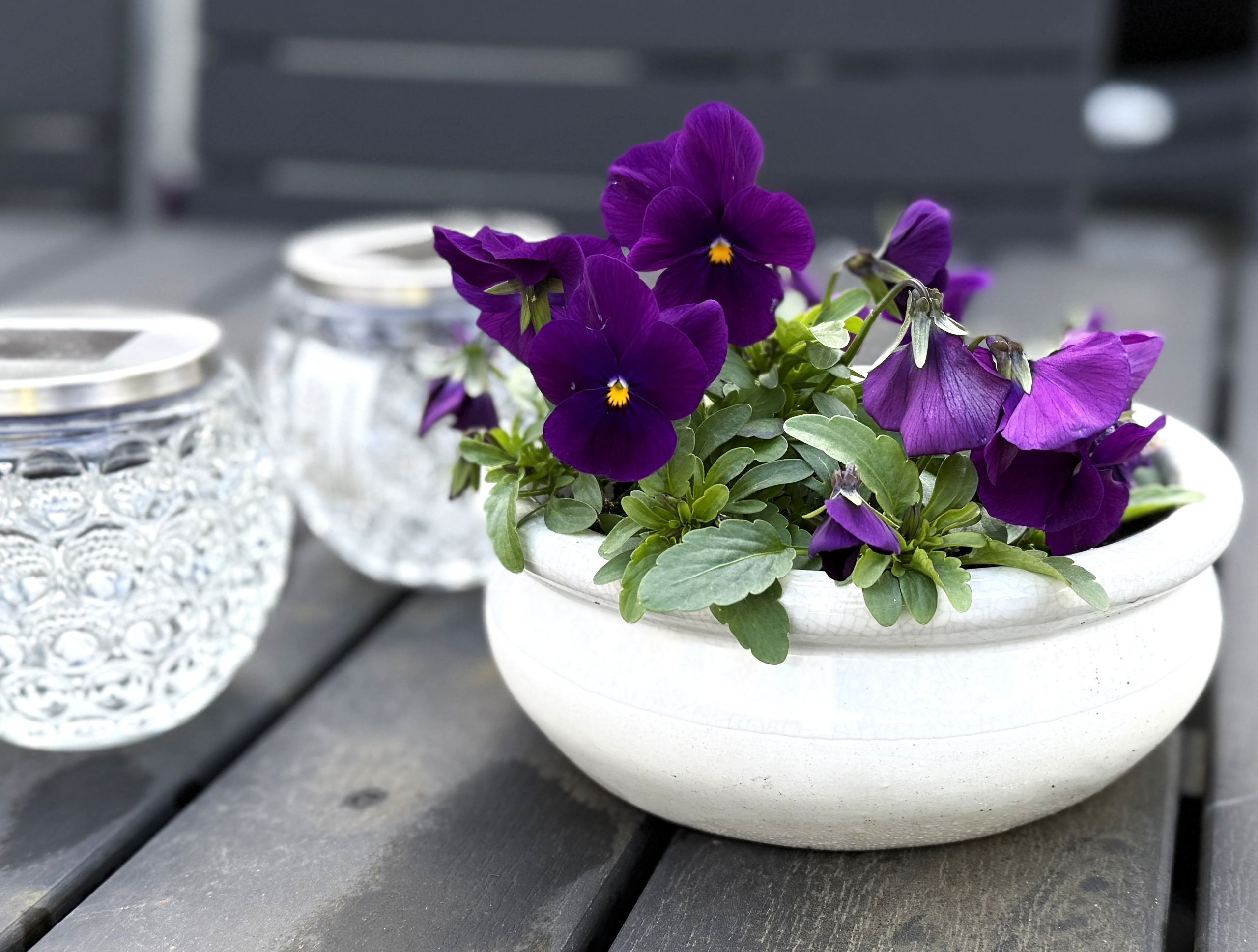 Blomster På Bord