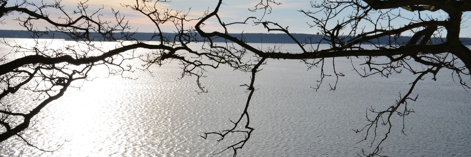 En sø hvor der er en gren i forgrunden