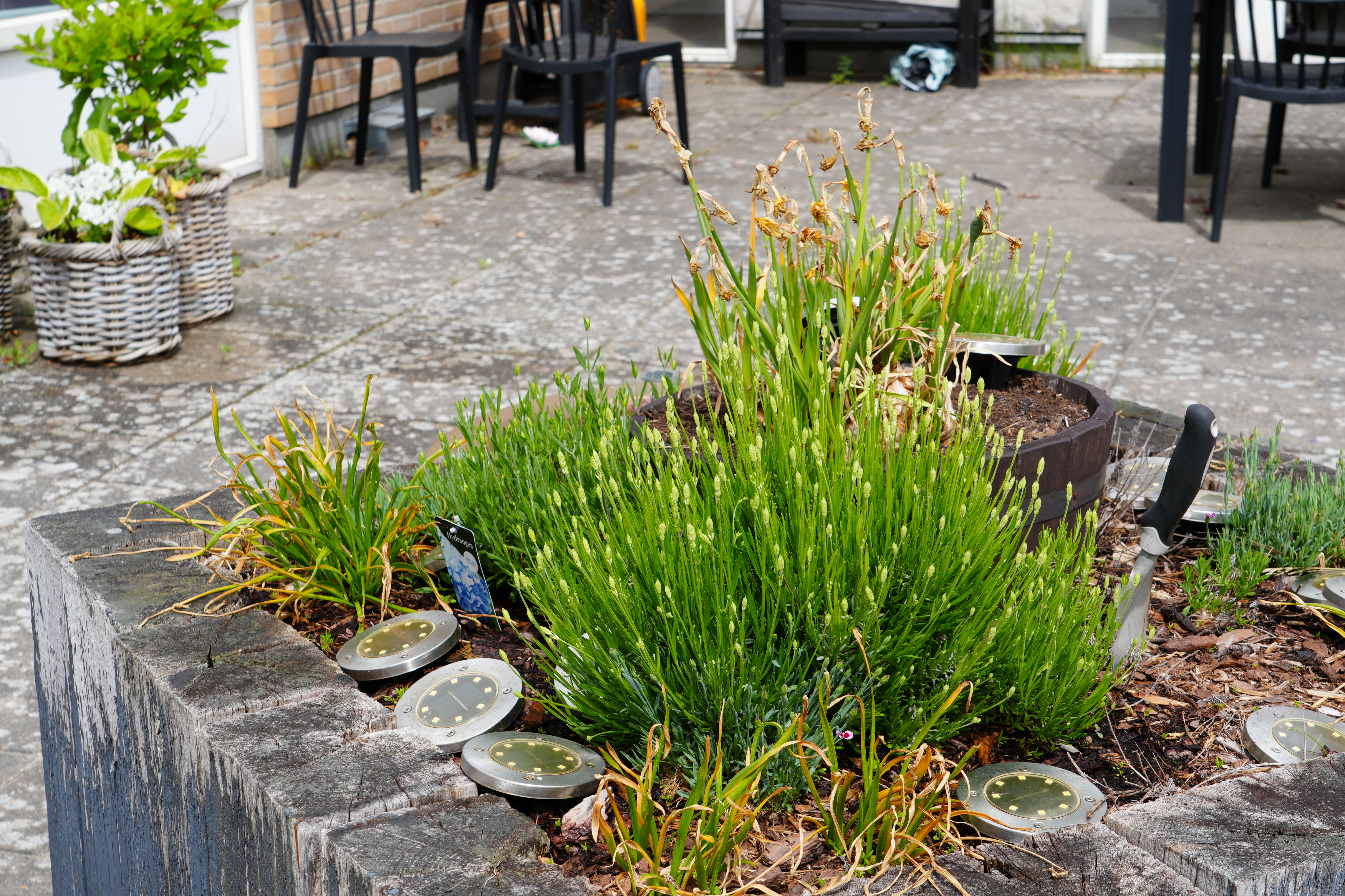 Planter udenfor Valmuehaven