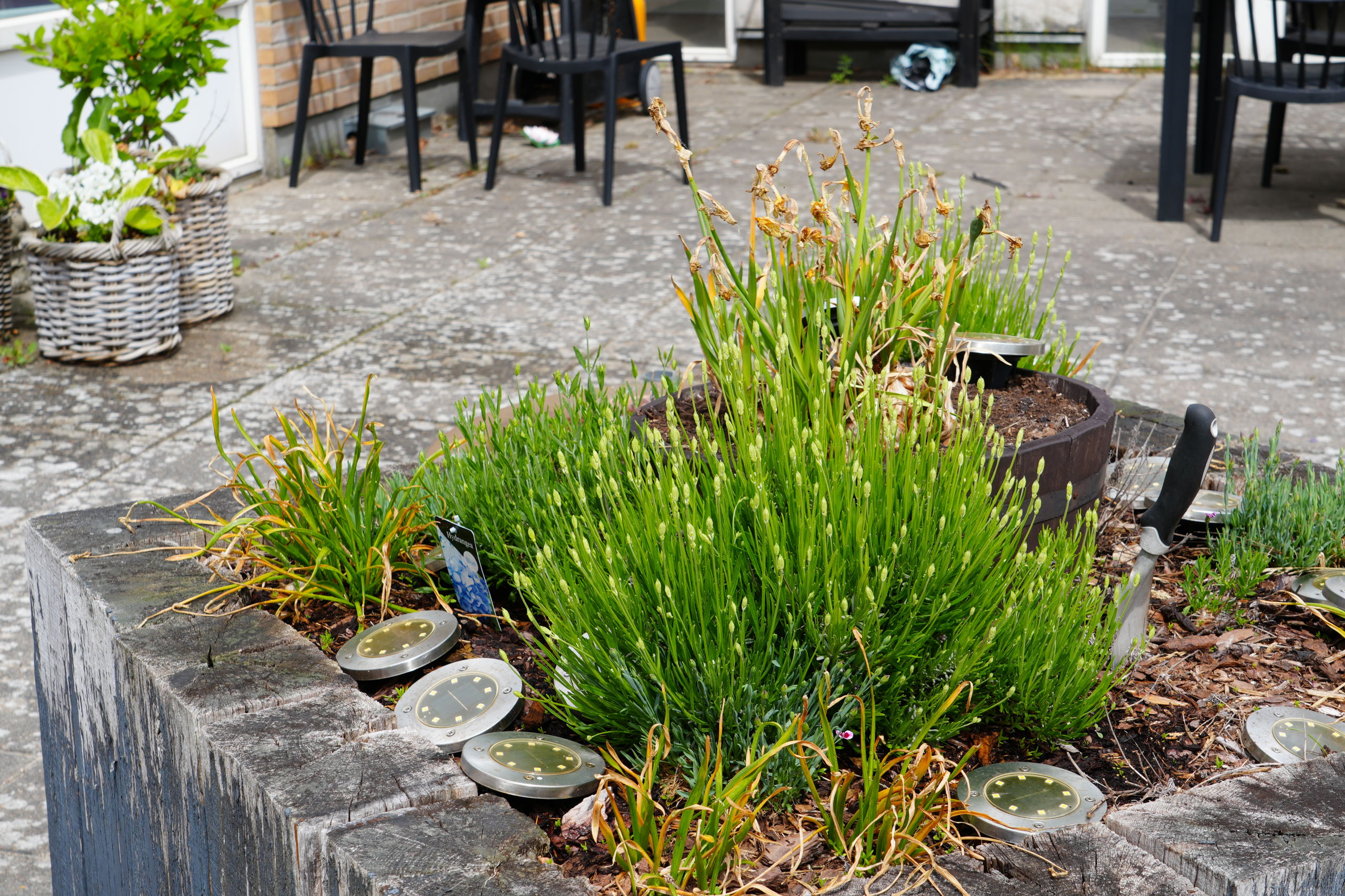 Planter udenfor Valmuehaven