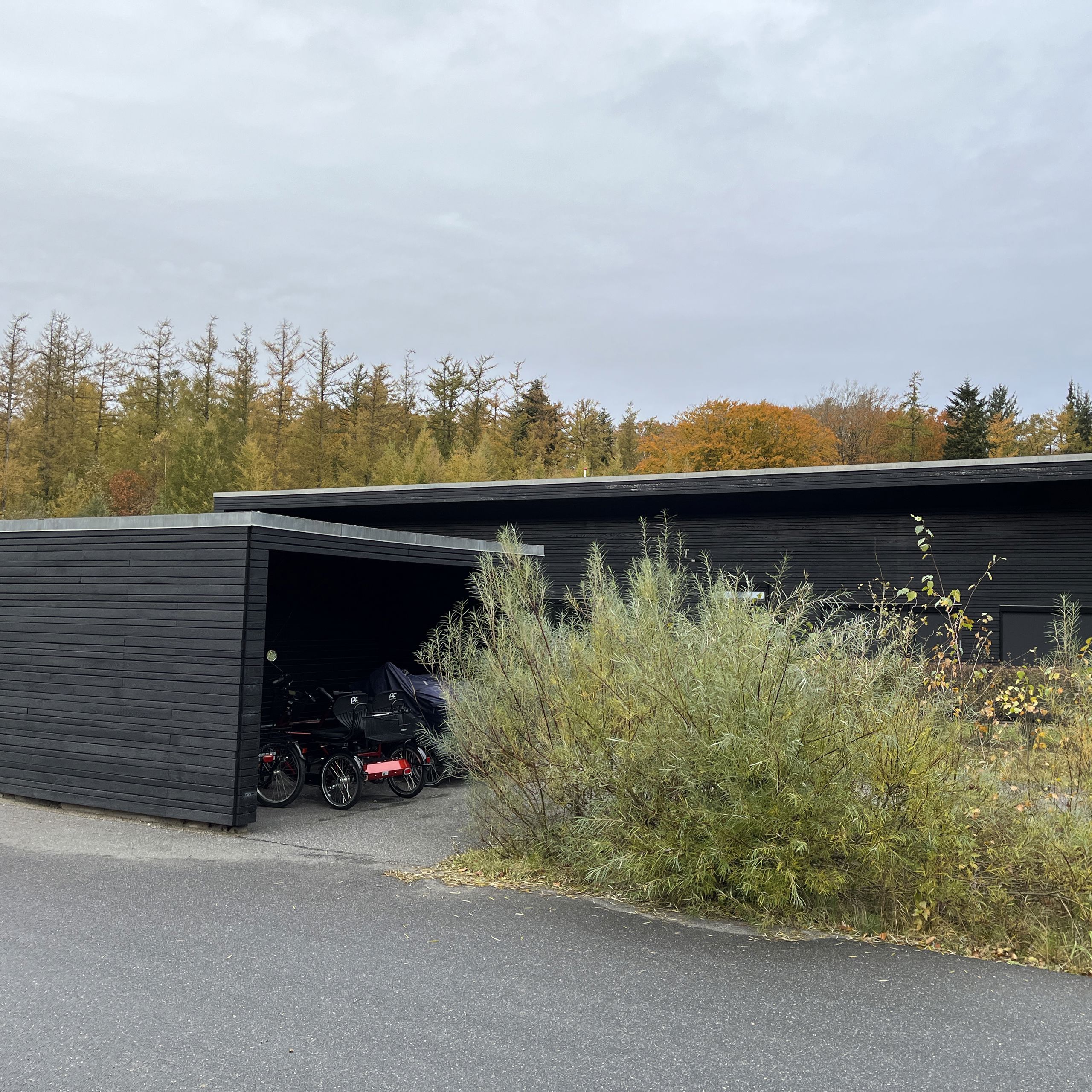 Gennem Bakkerne bag busk