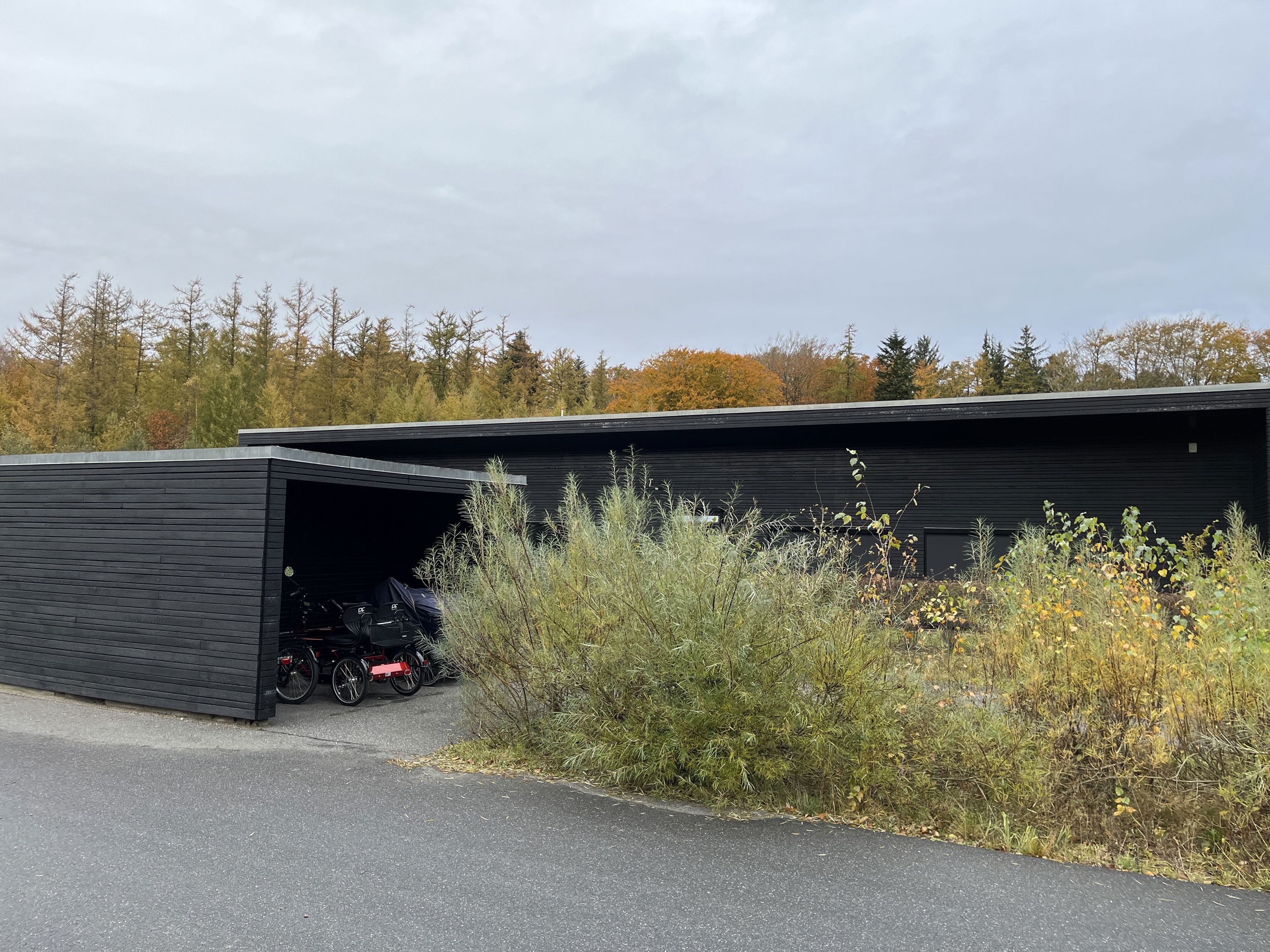 Gennem Bakkerne bag busk