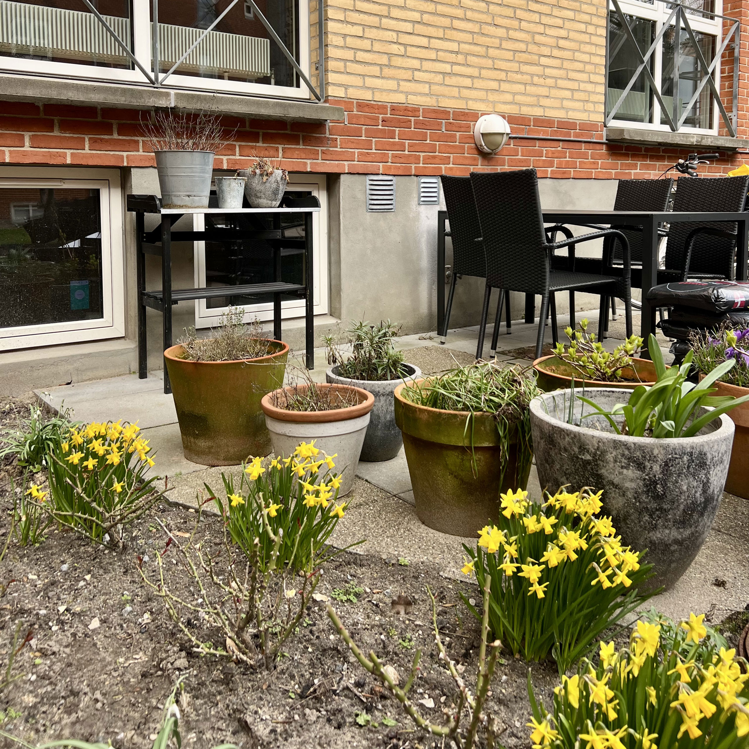 Borgergade planter udenfor