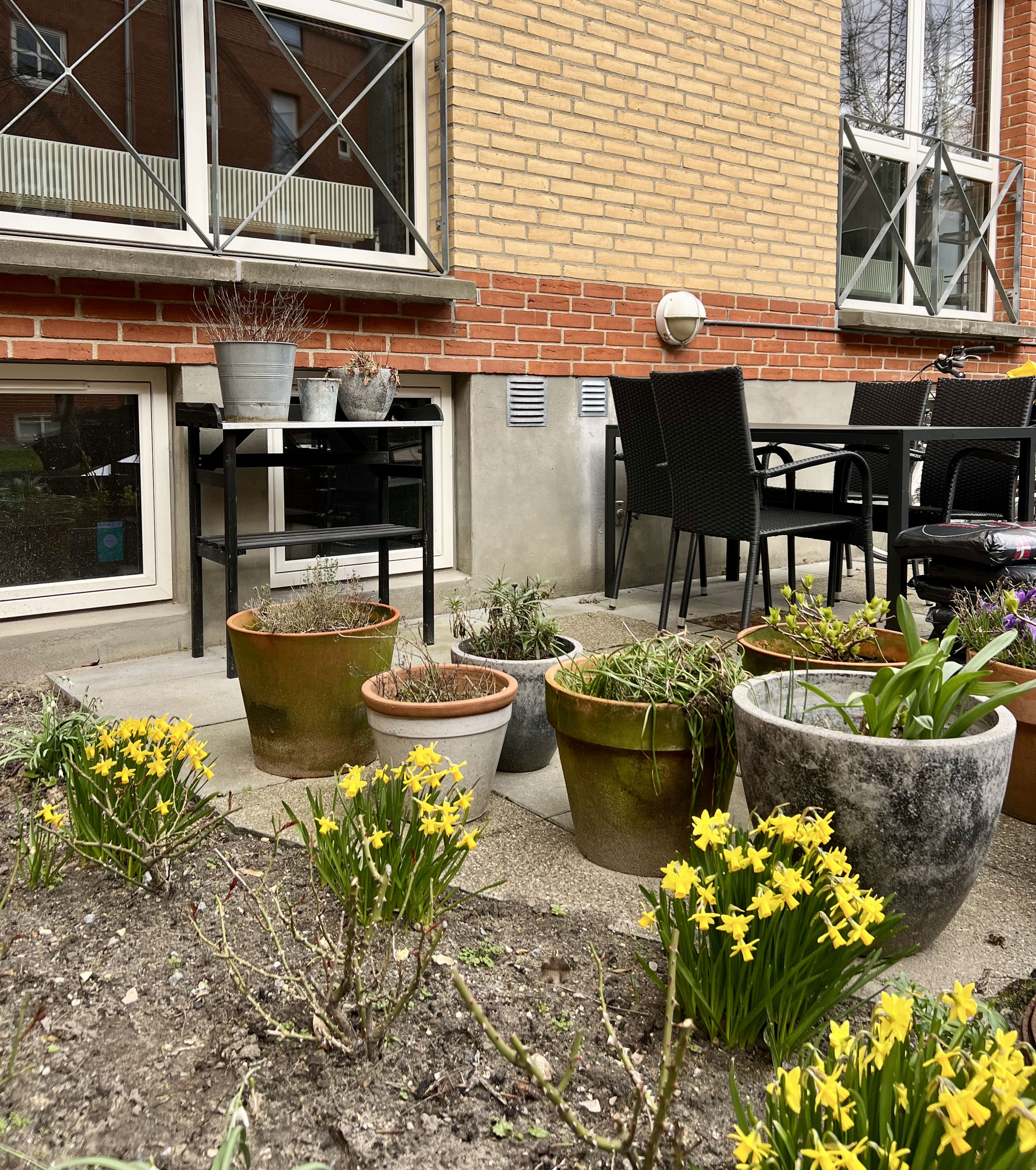 Borgergade planter udenfor