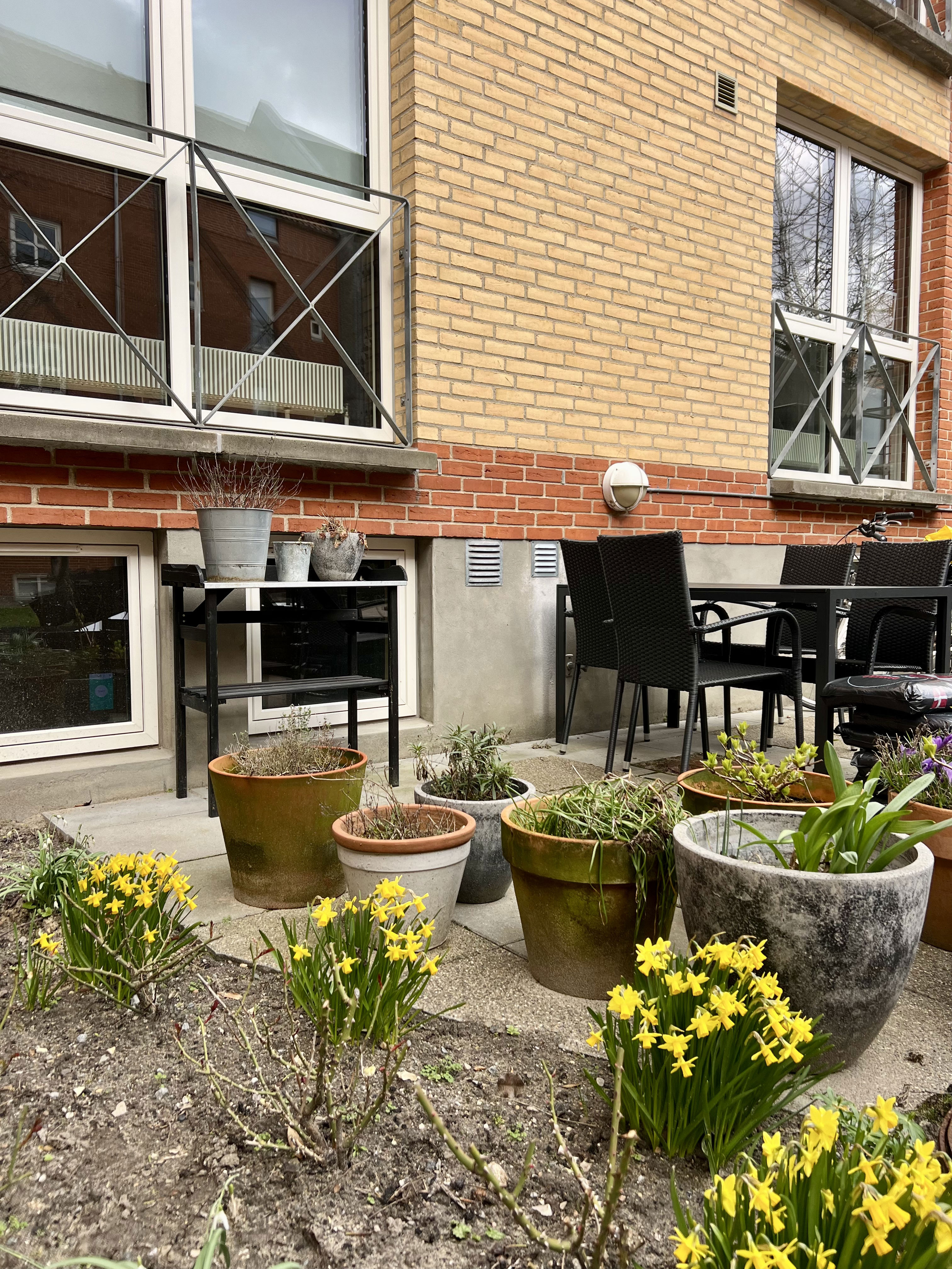 Borgergade planter udenfor