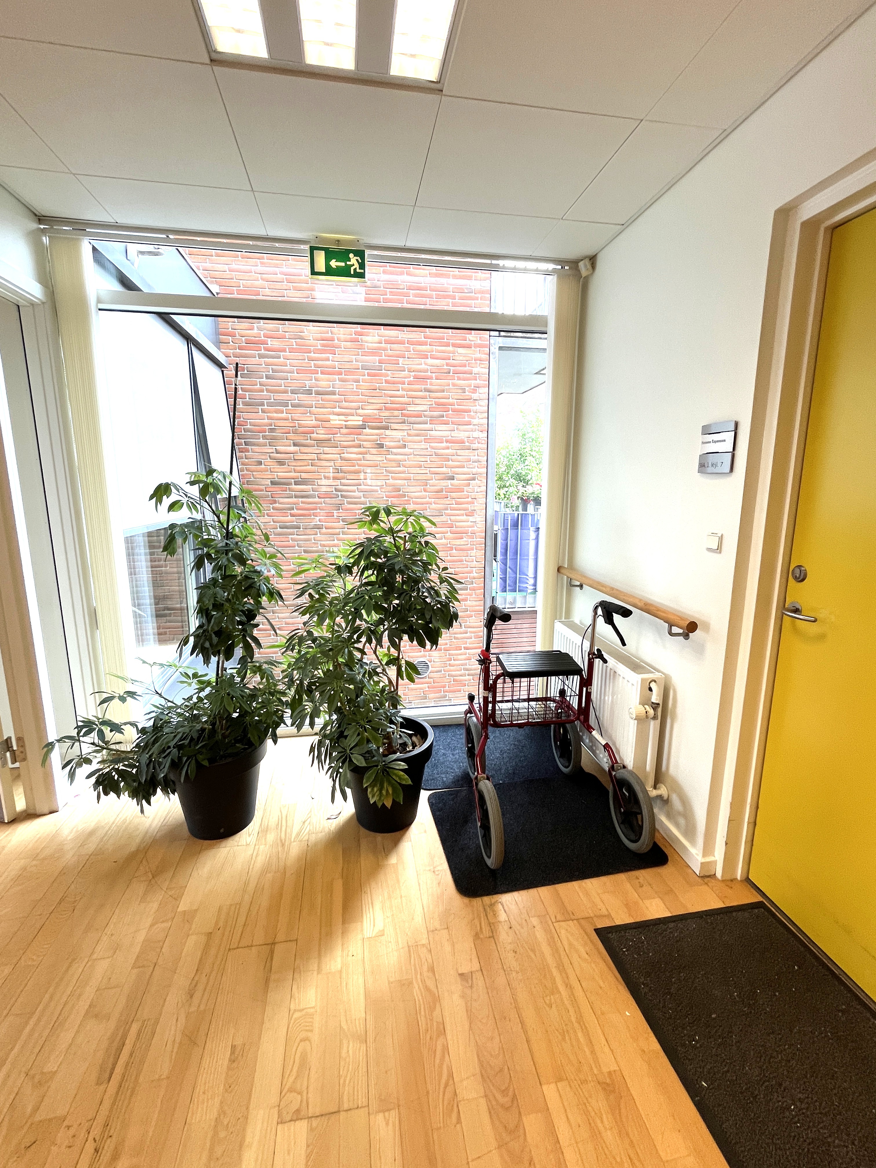Planter på gang