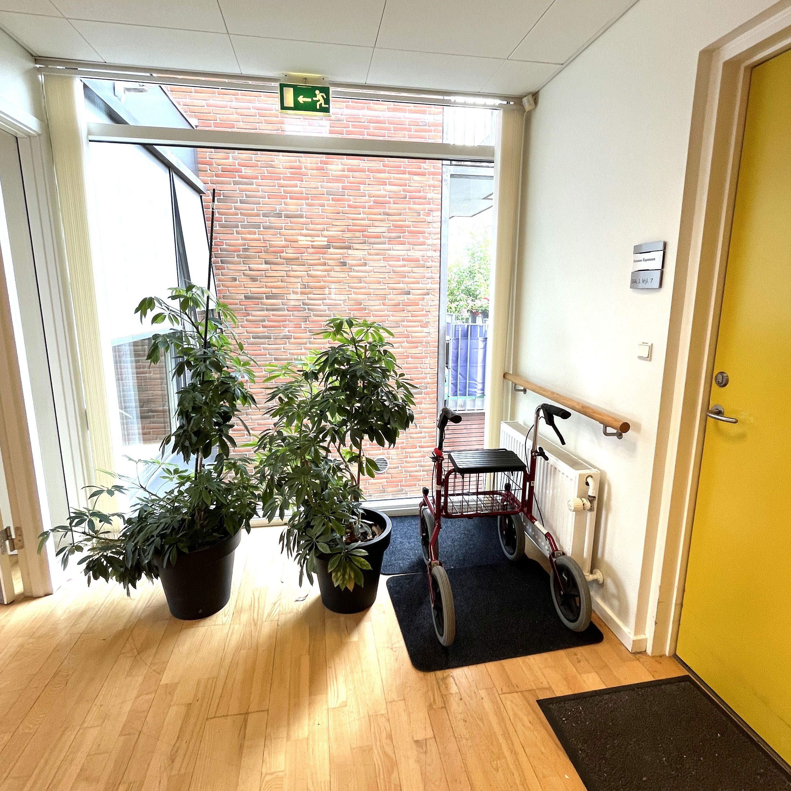 Planter på gang