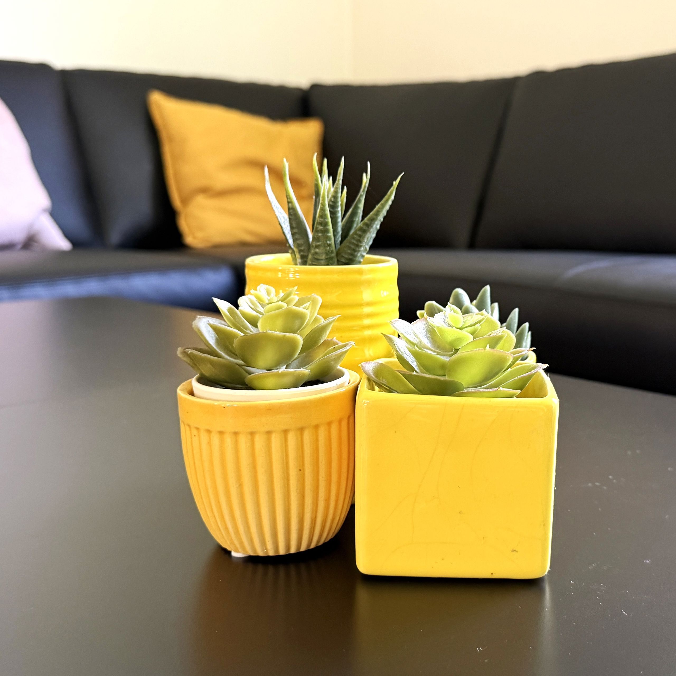 Gule Skjulere Med Planter På Et Bord