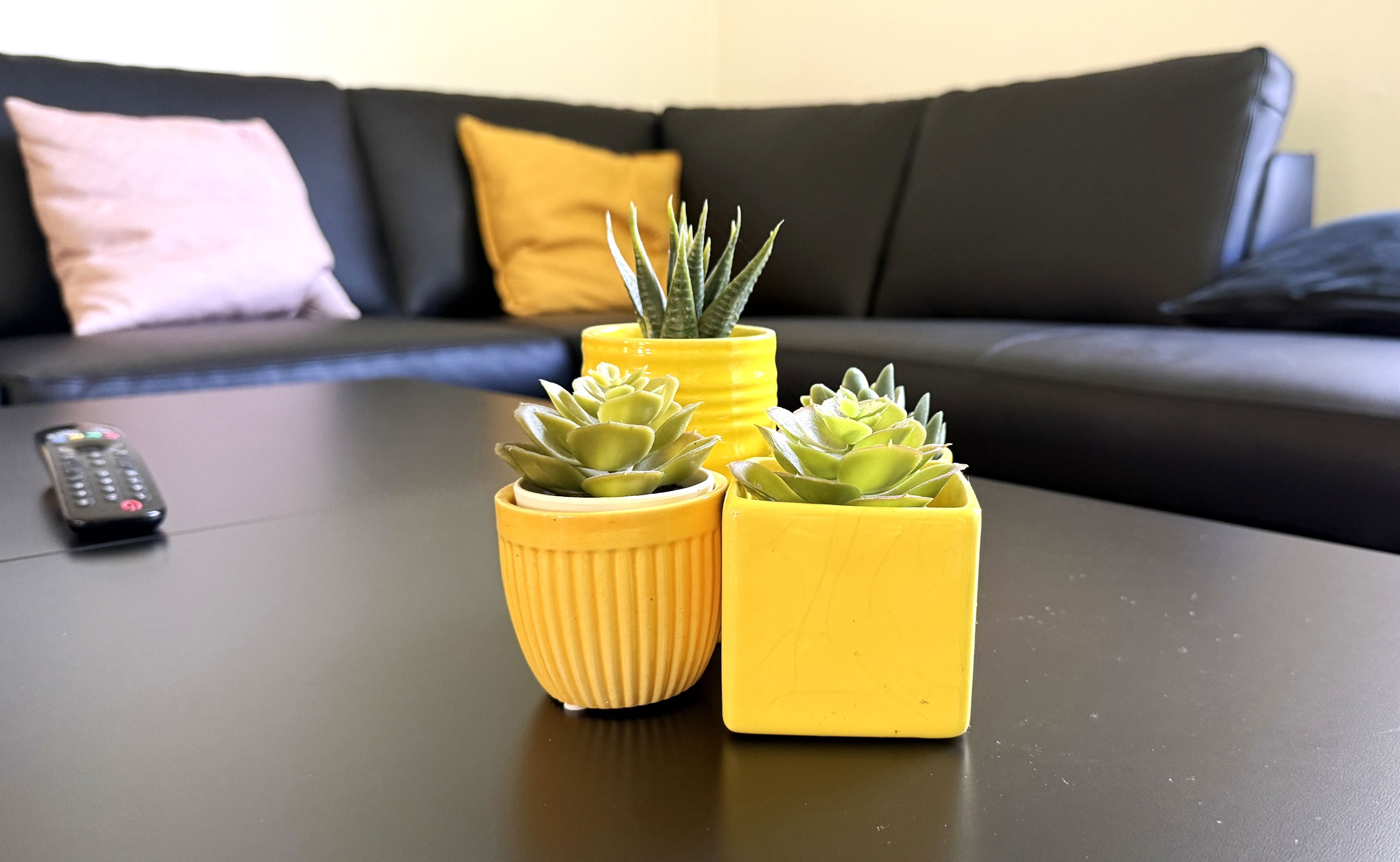 Gule Skjulere Med Planter På Et Bord