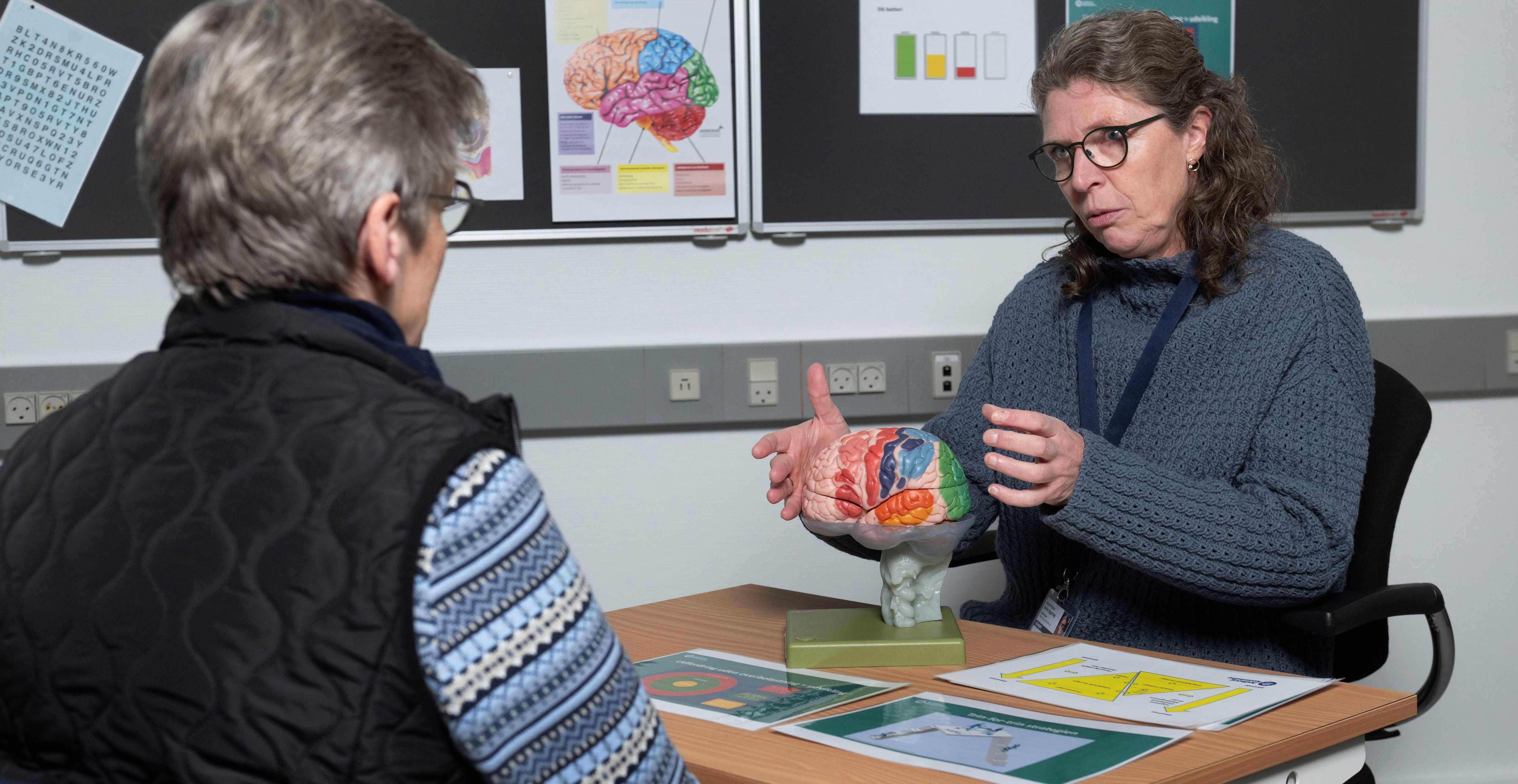 Forklaring af hjernen