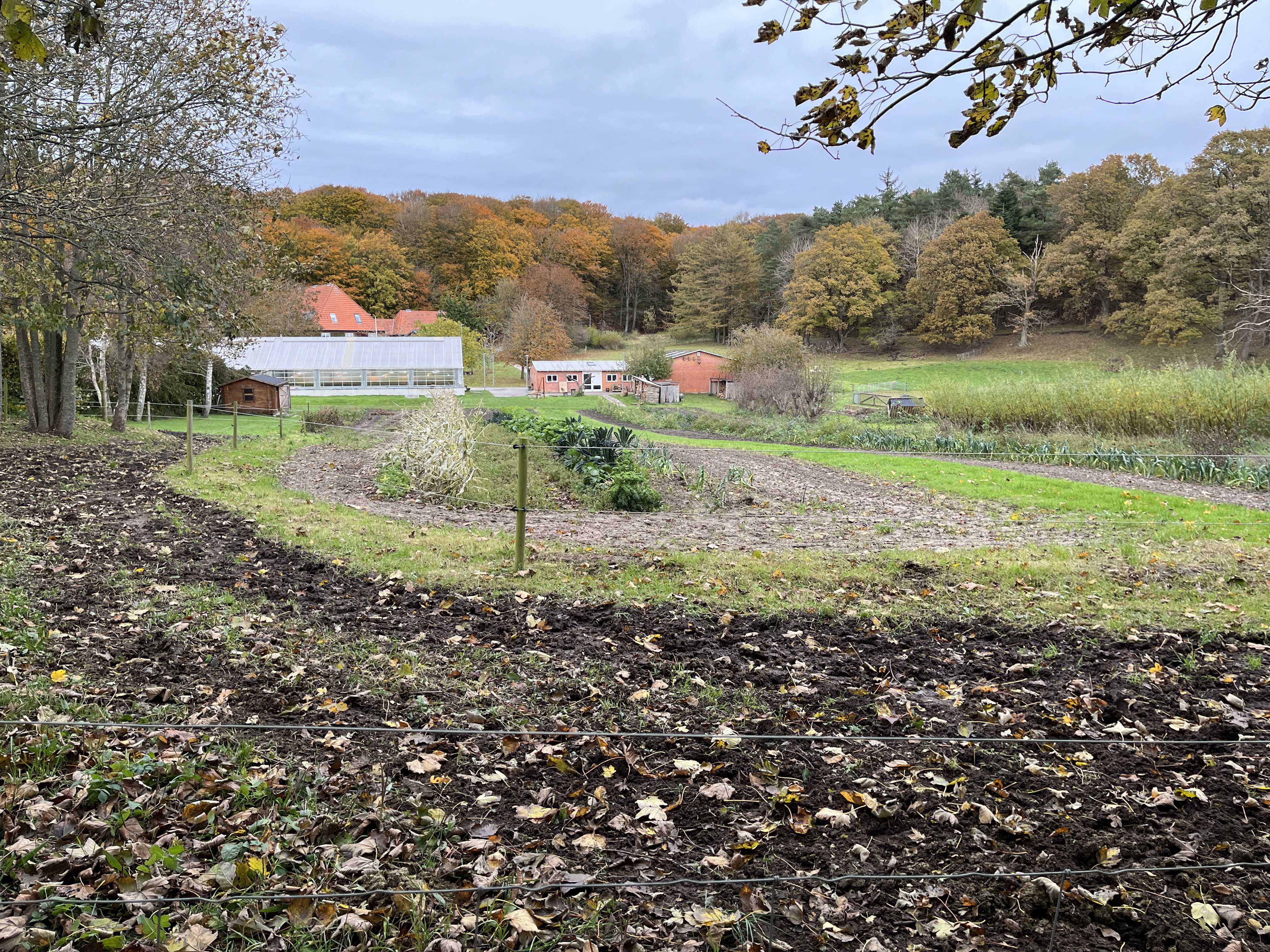 Gartneriet og omkringliggende natur