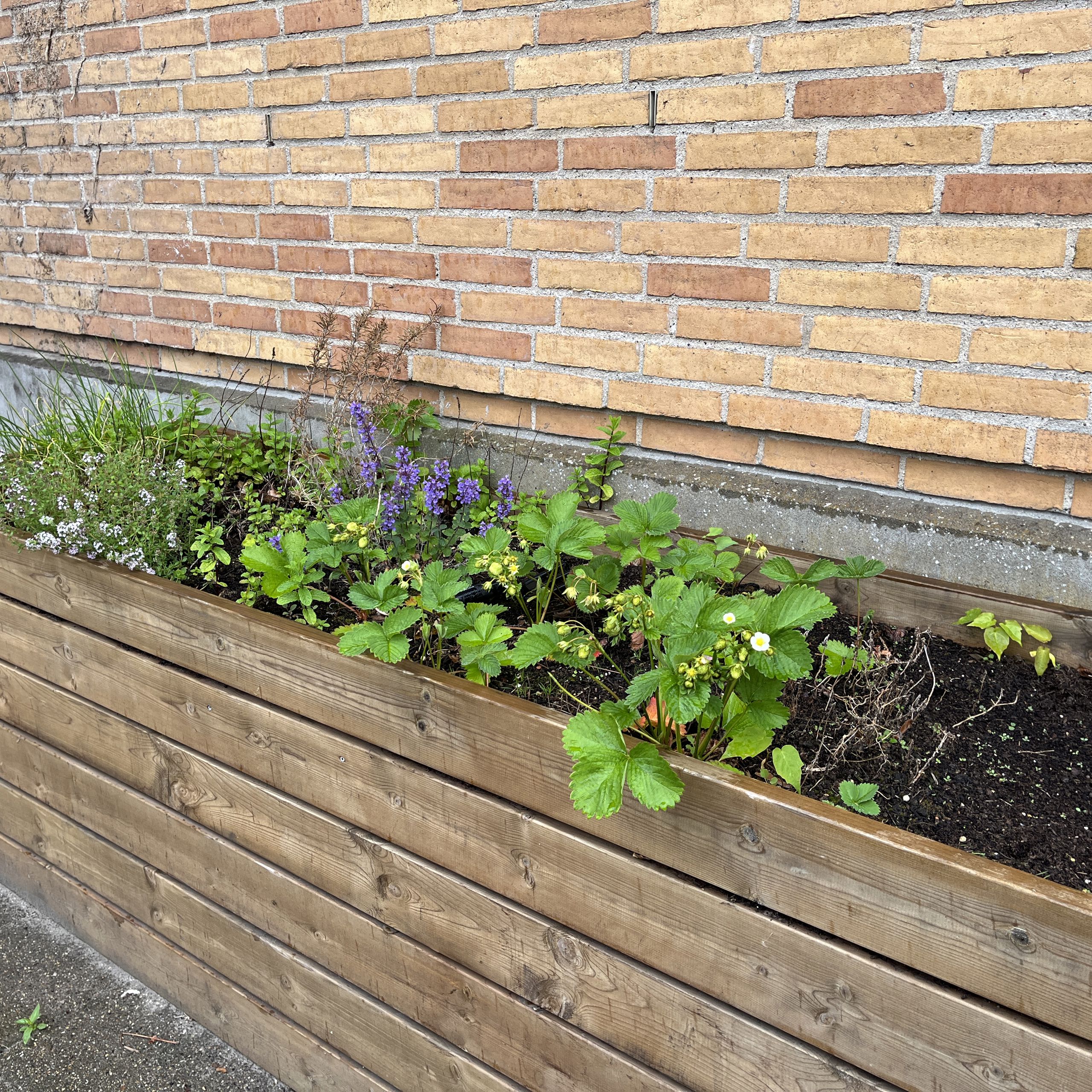 Planter Udenfor På Støberiet
