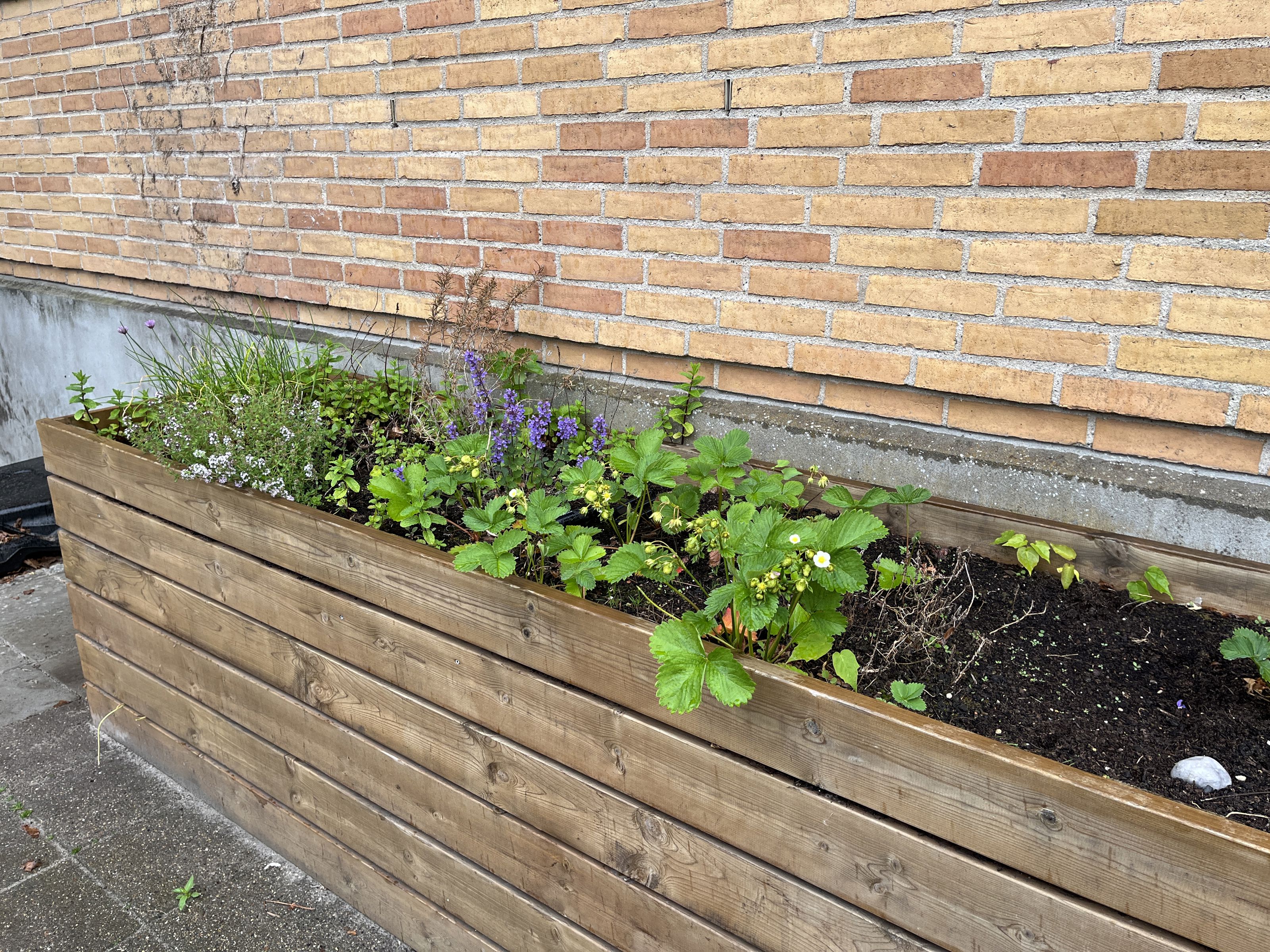 Planter Udenfor På Støberiet