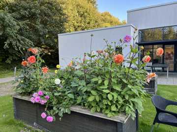 blomsterkasse foran Kridtsløjfen