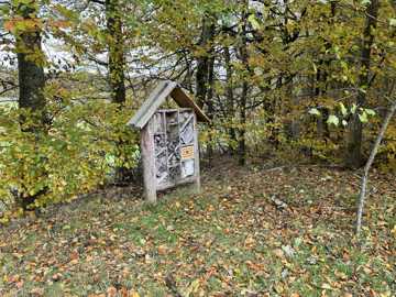 Insekthotel i naturen