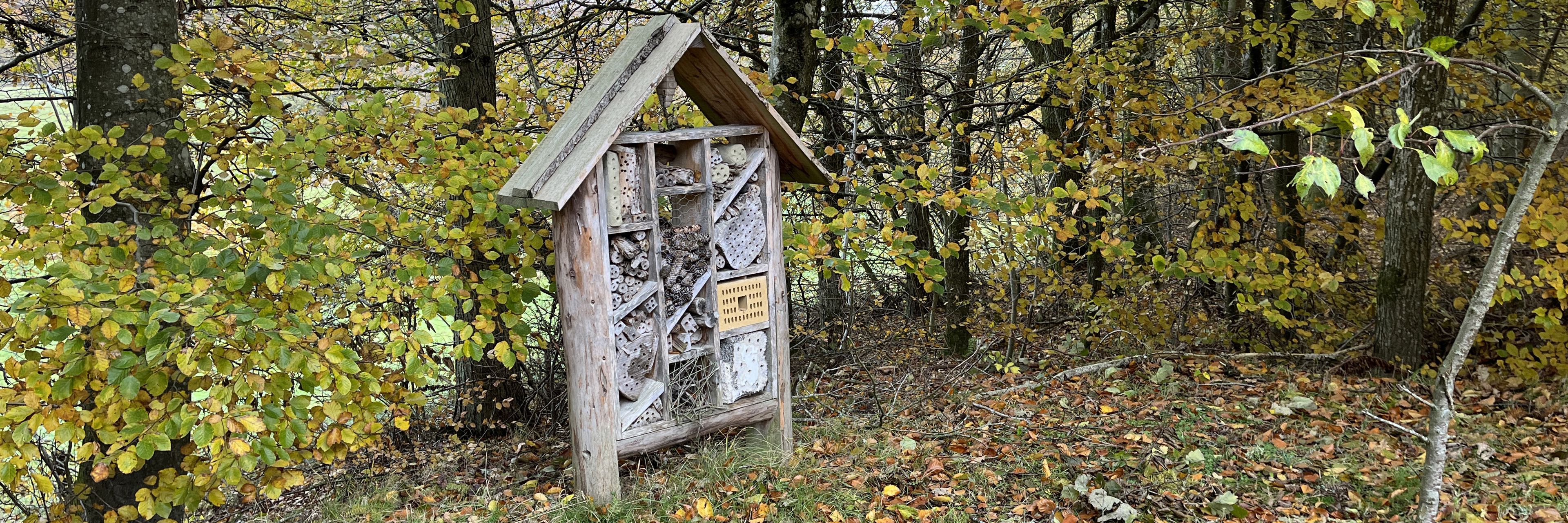 Insekthotel i naturen