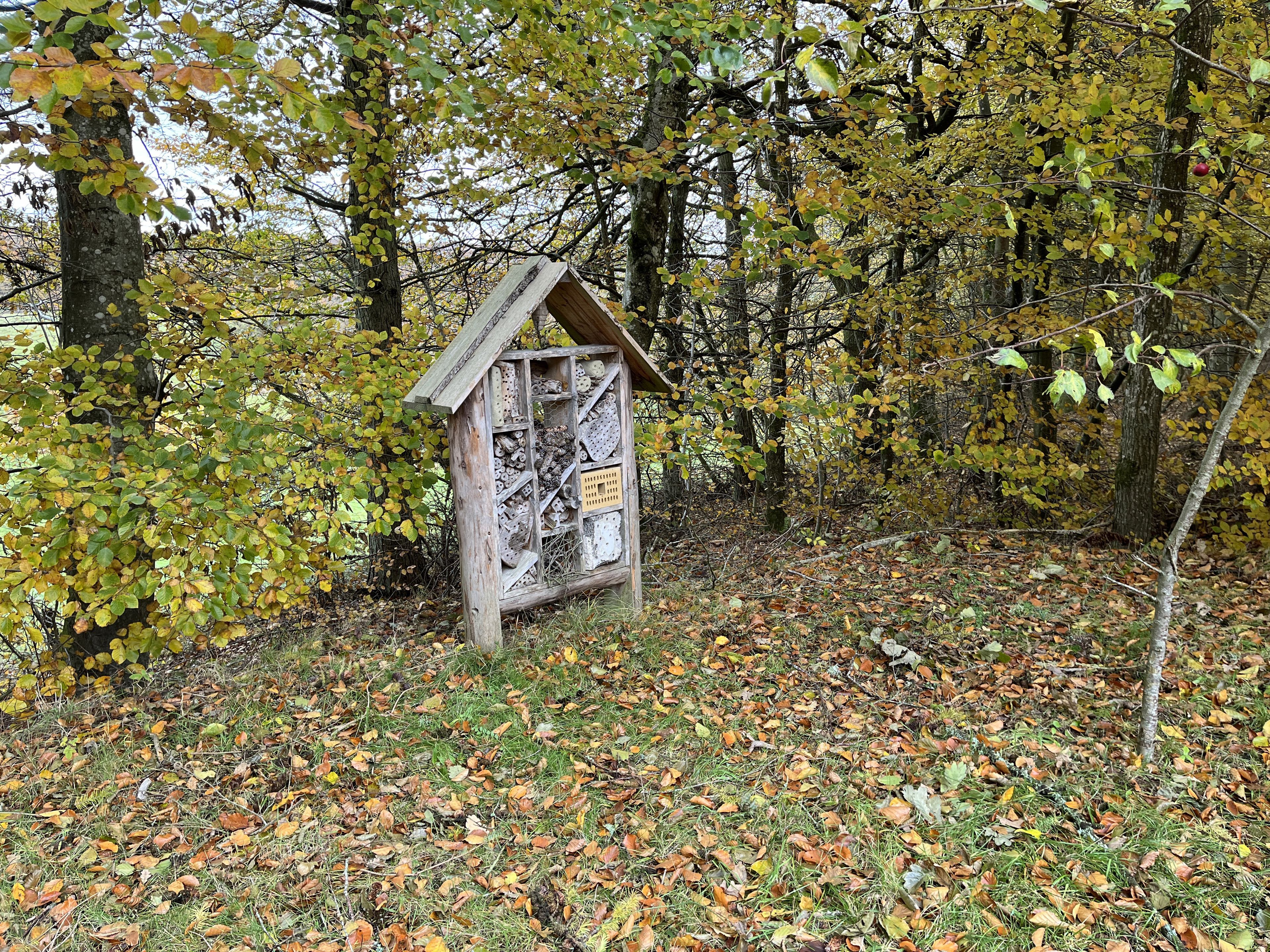 Insekthotel i naturen
