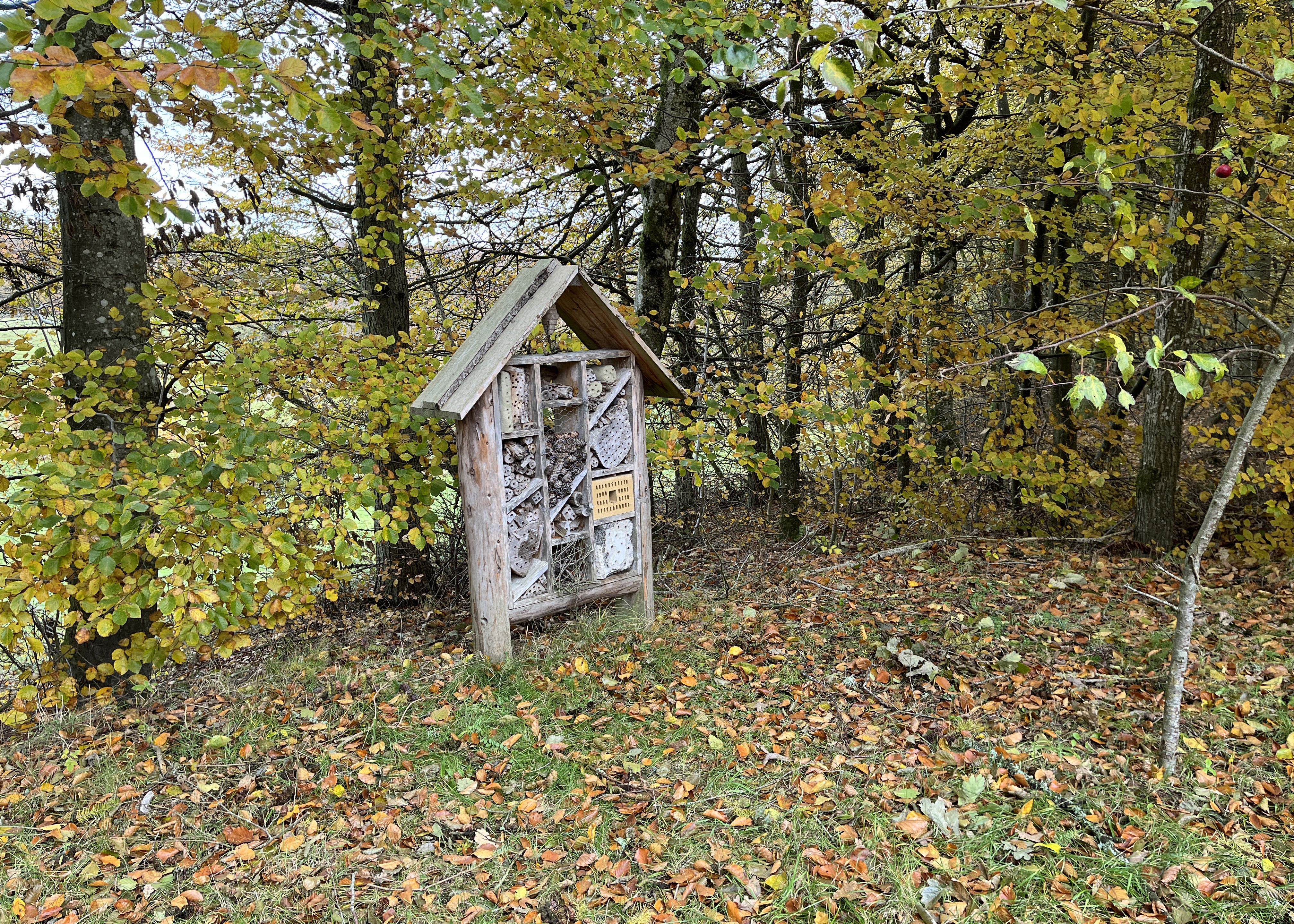 Insekthotel i naturen