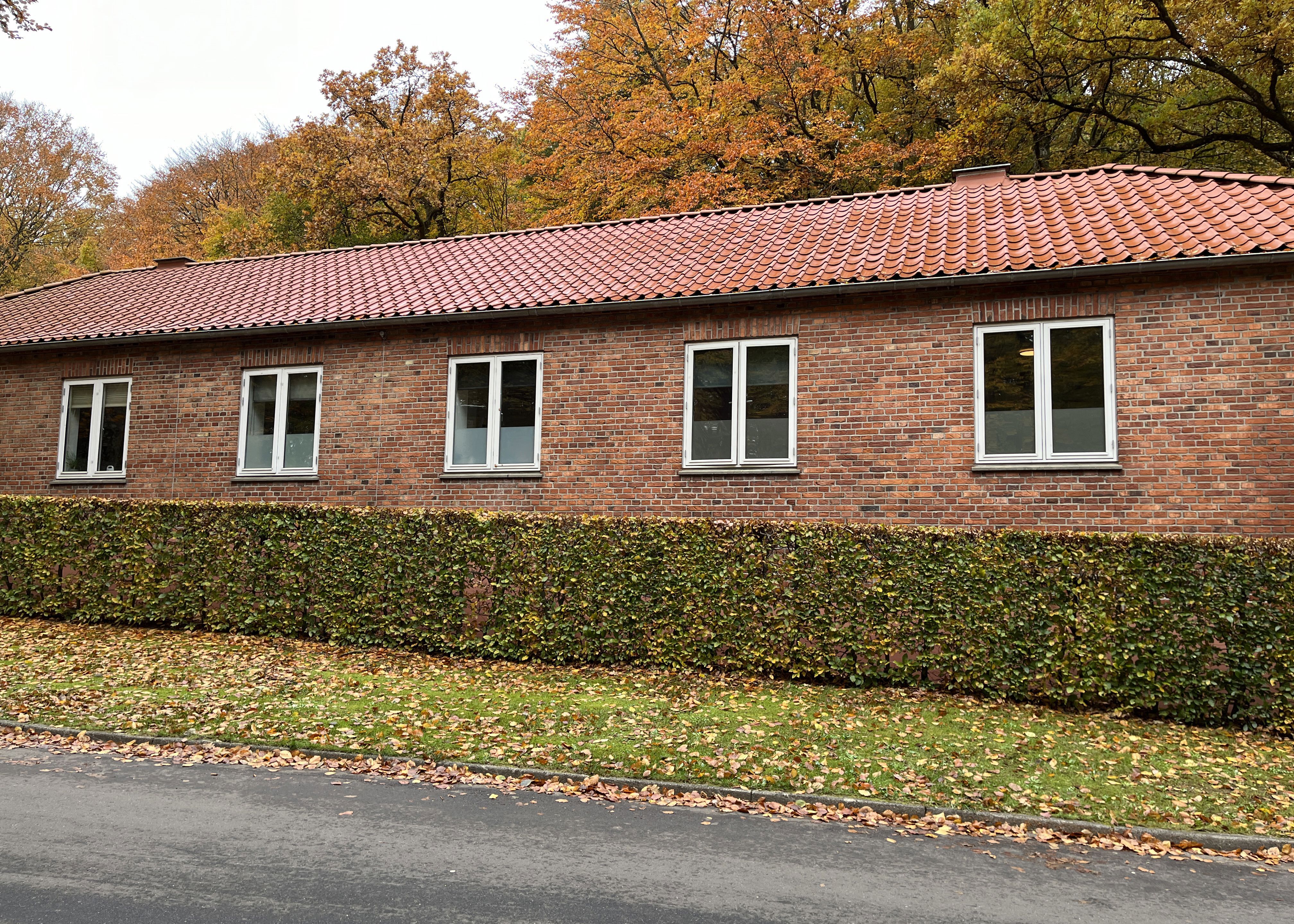 Bodil Hjorts vej VoksenBøgen