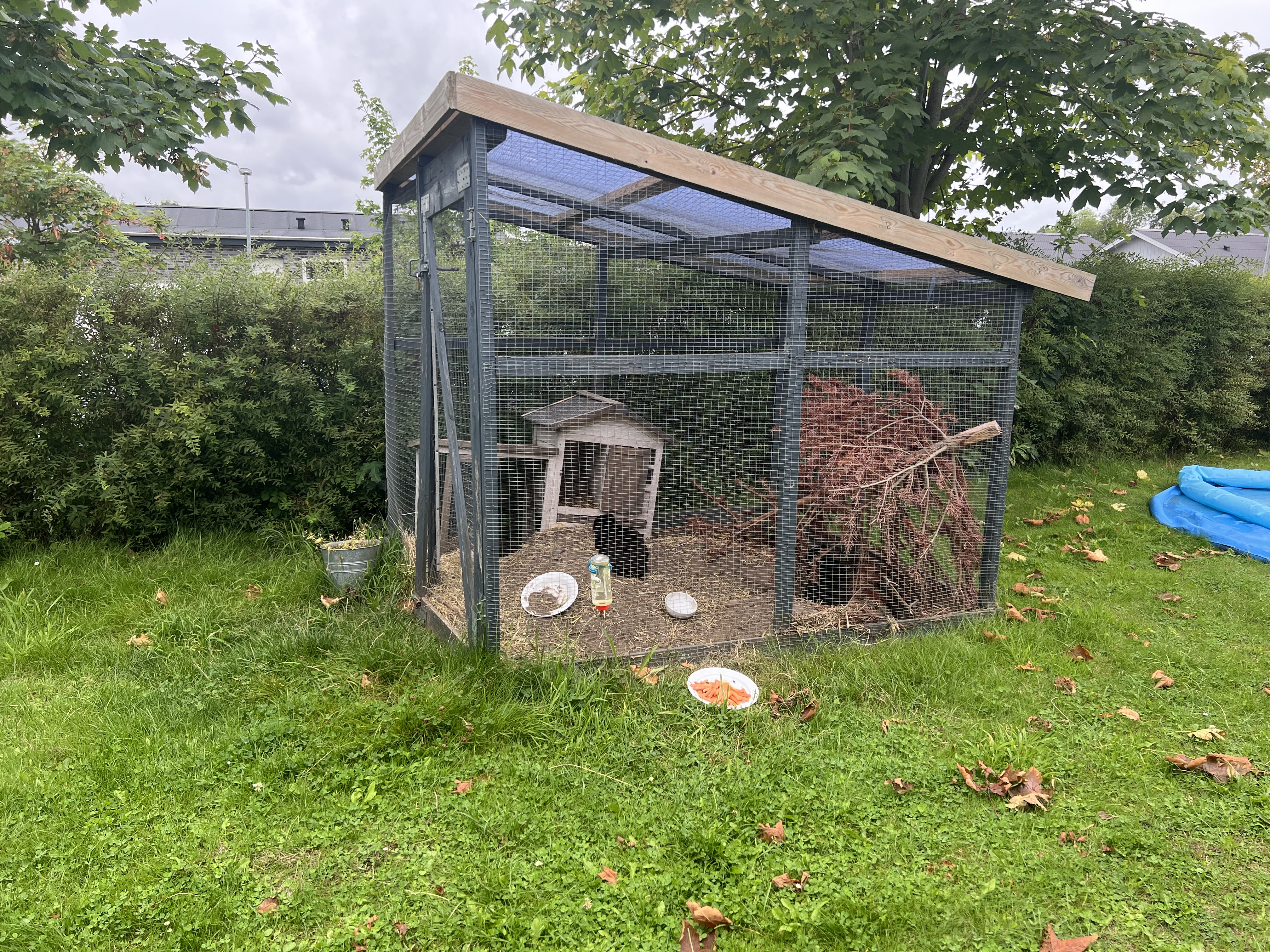 Vokseværket, have med kaniner i bur
