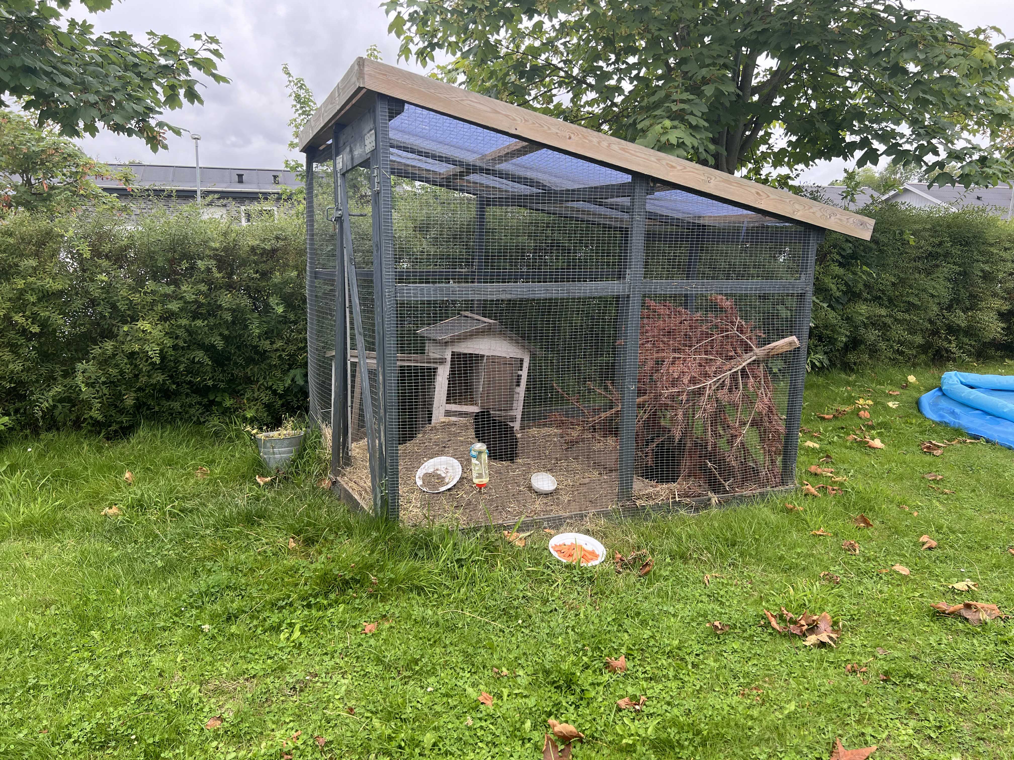 Vokseværket, have med kaniner i bur