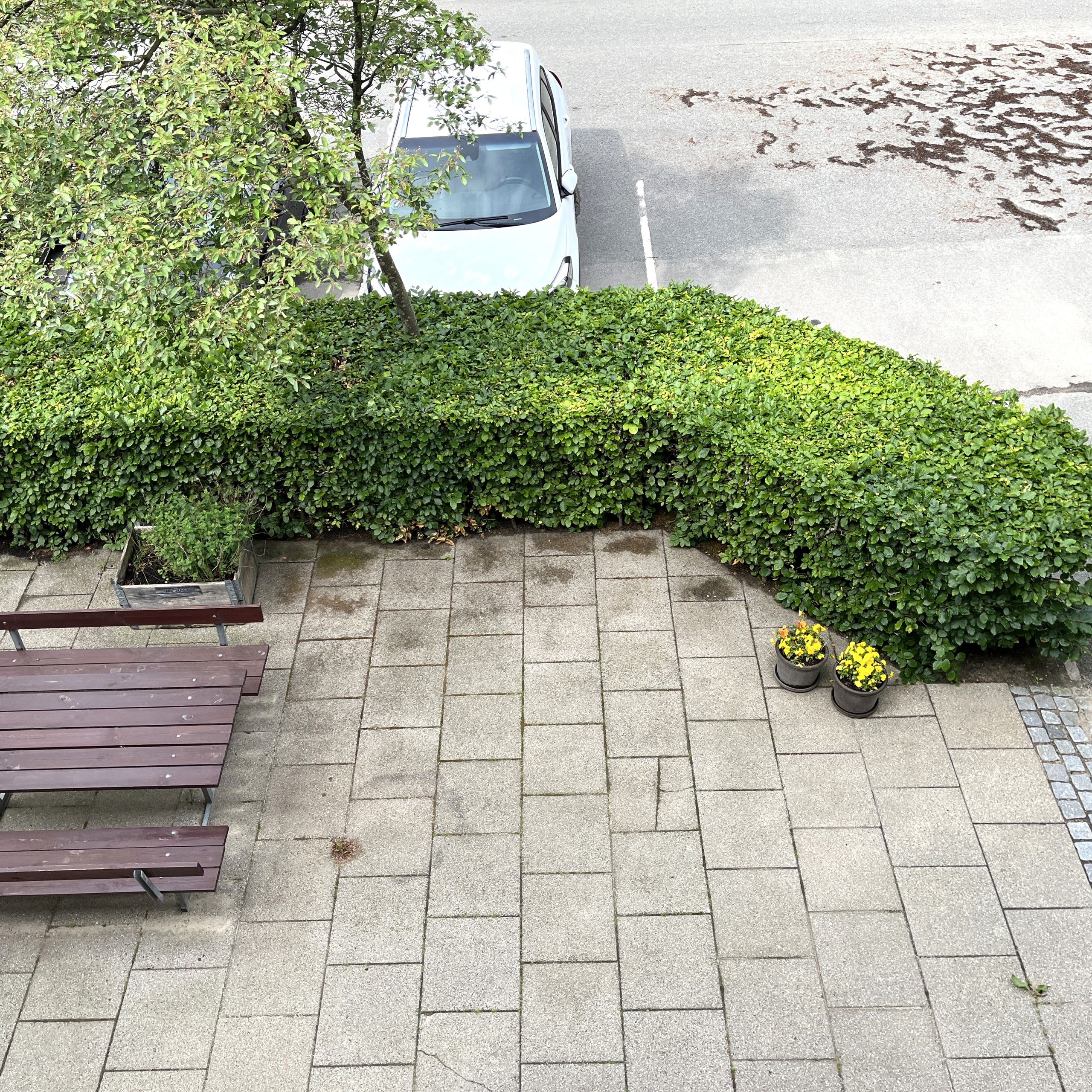 Pitsvej Terasse Foran Huset