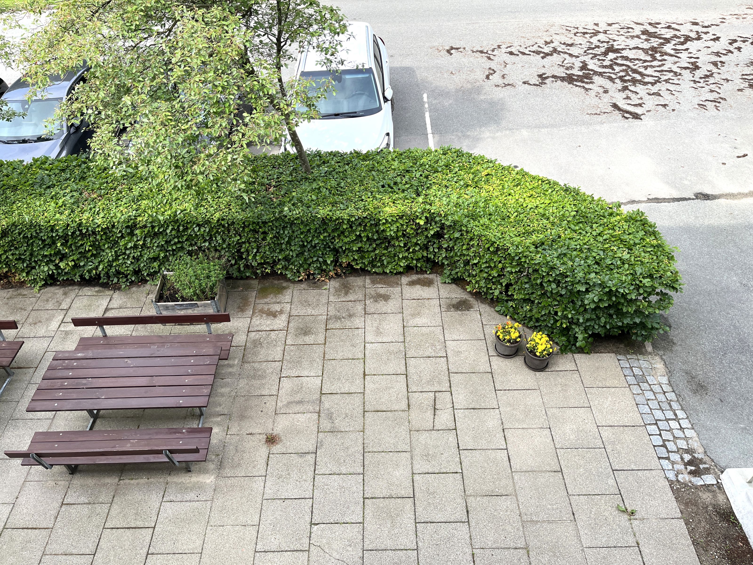 Pitsvej Terasse Foran Huset