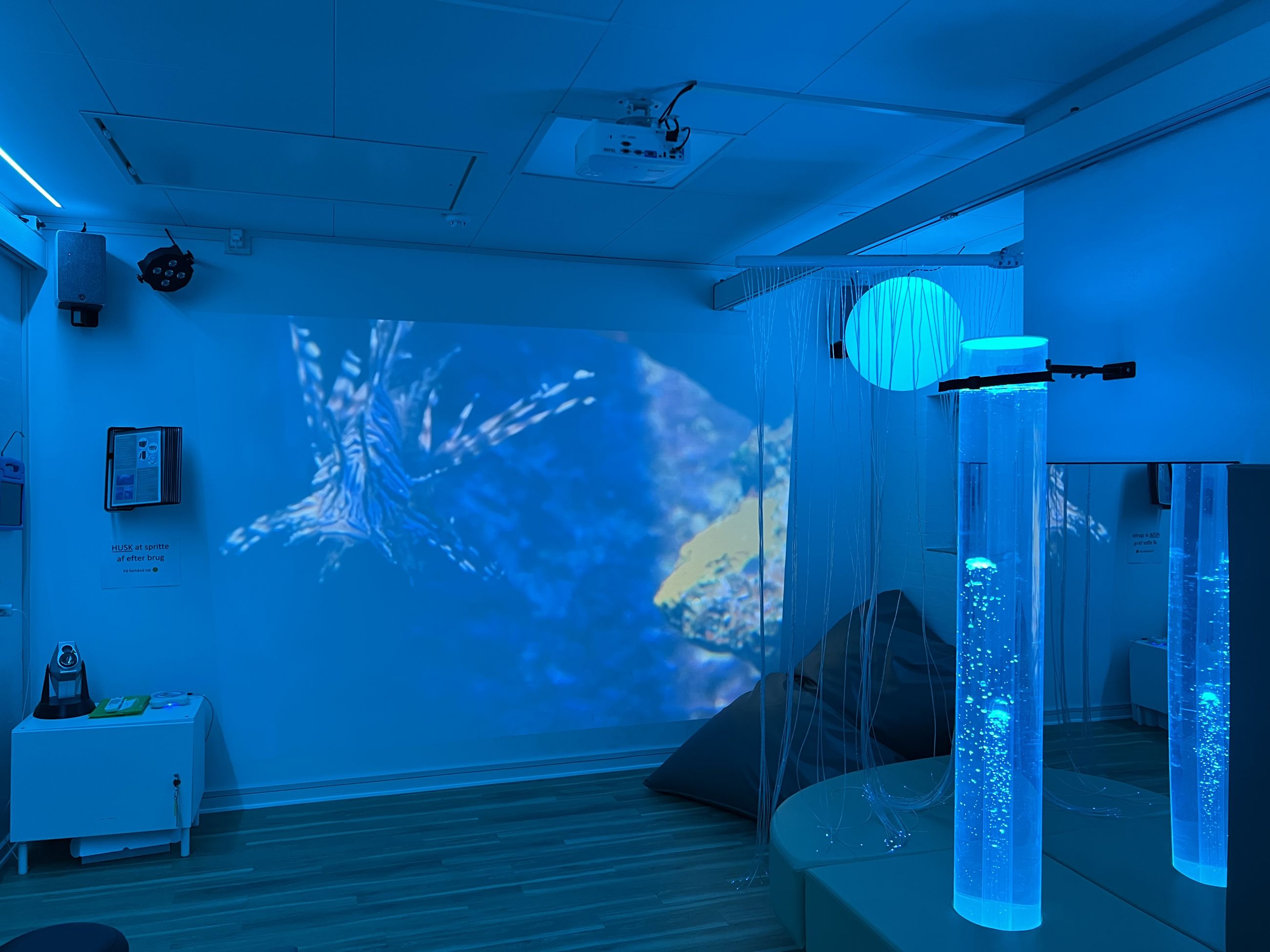 Danahus - sanserum i blåt