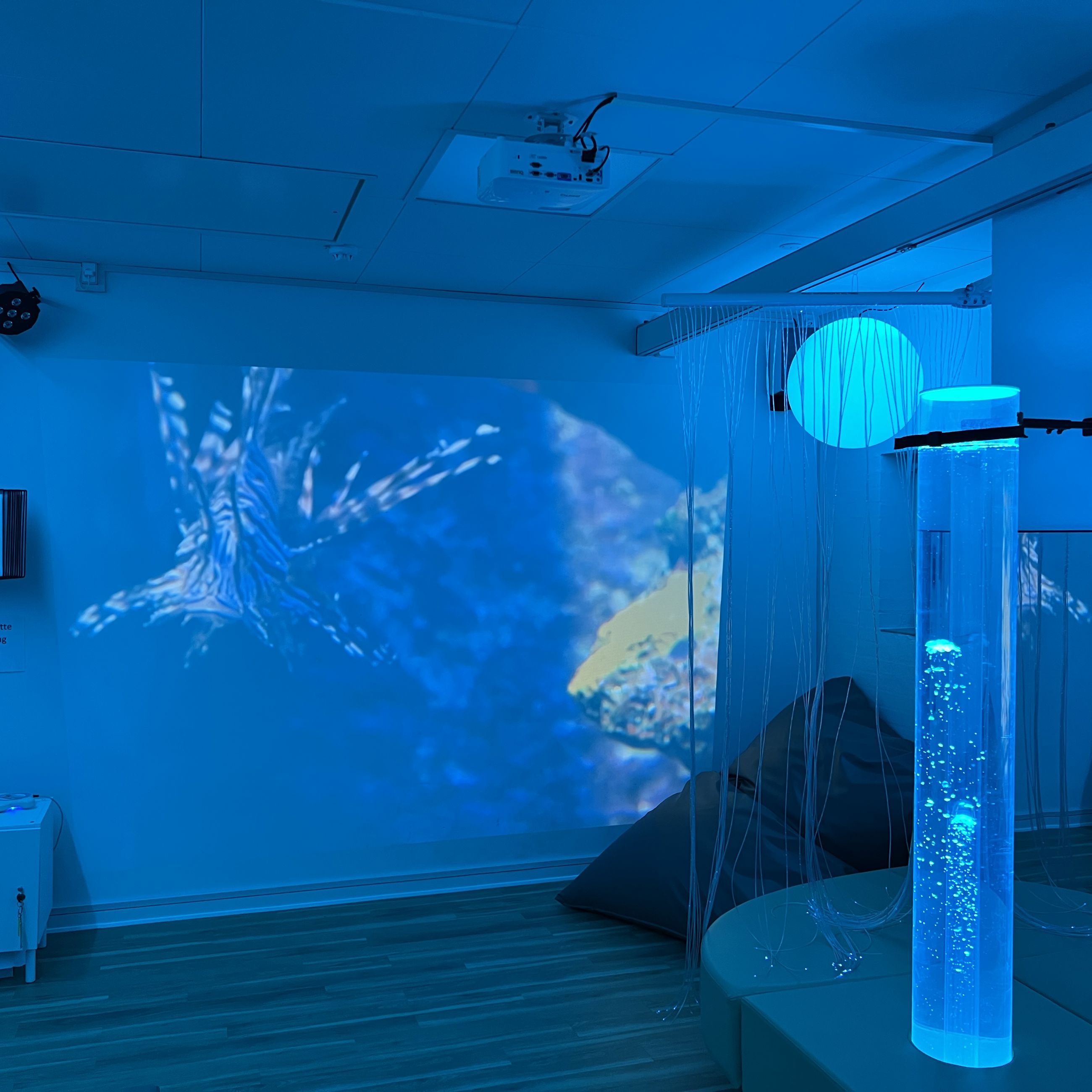 Danahus - sanserum i blåt